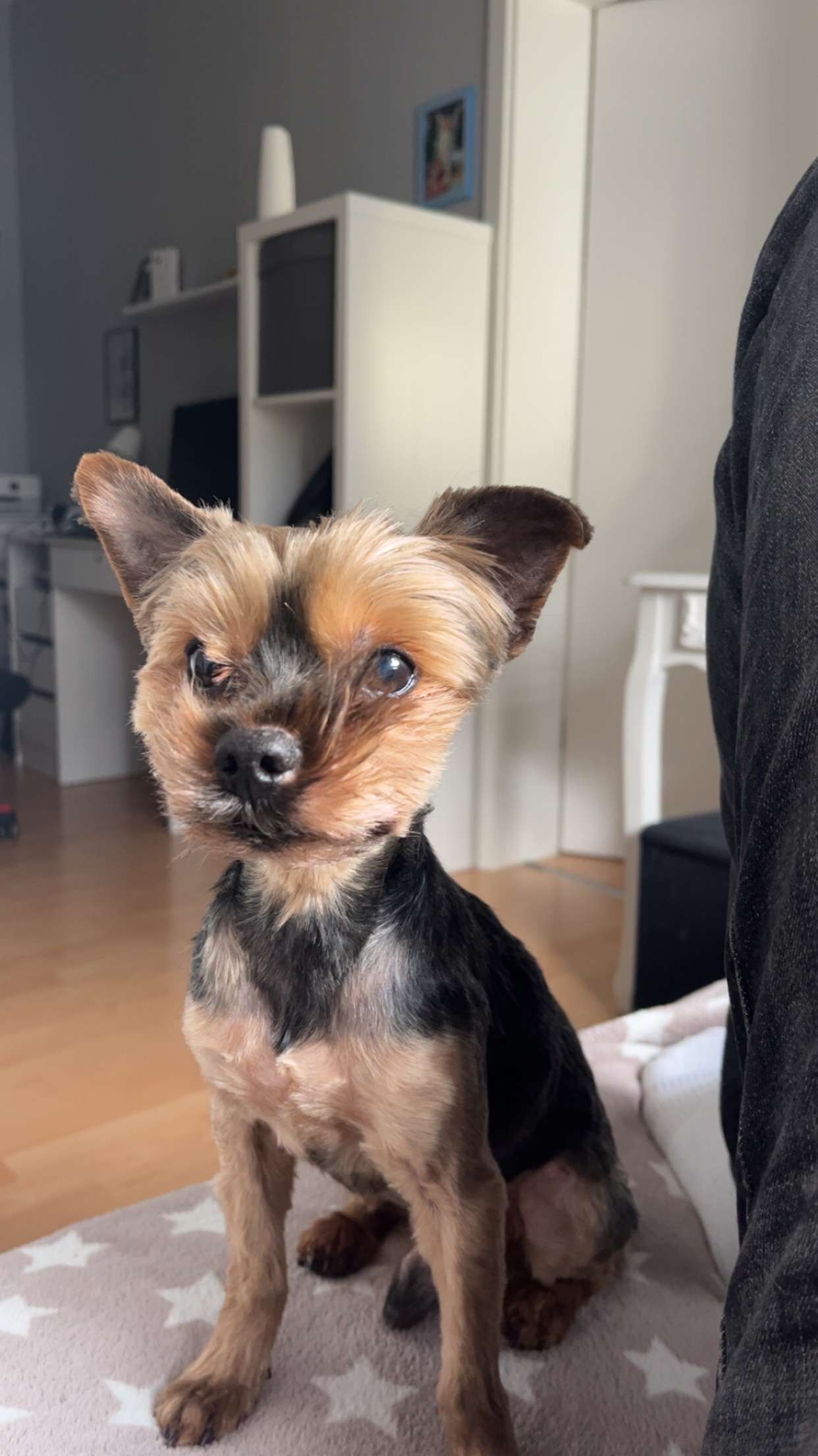 Diego  - Kirchfeldstraße, Düsseldorf