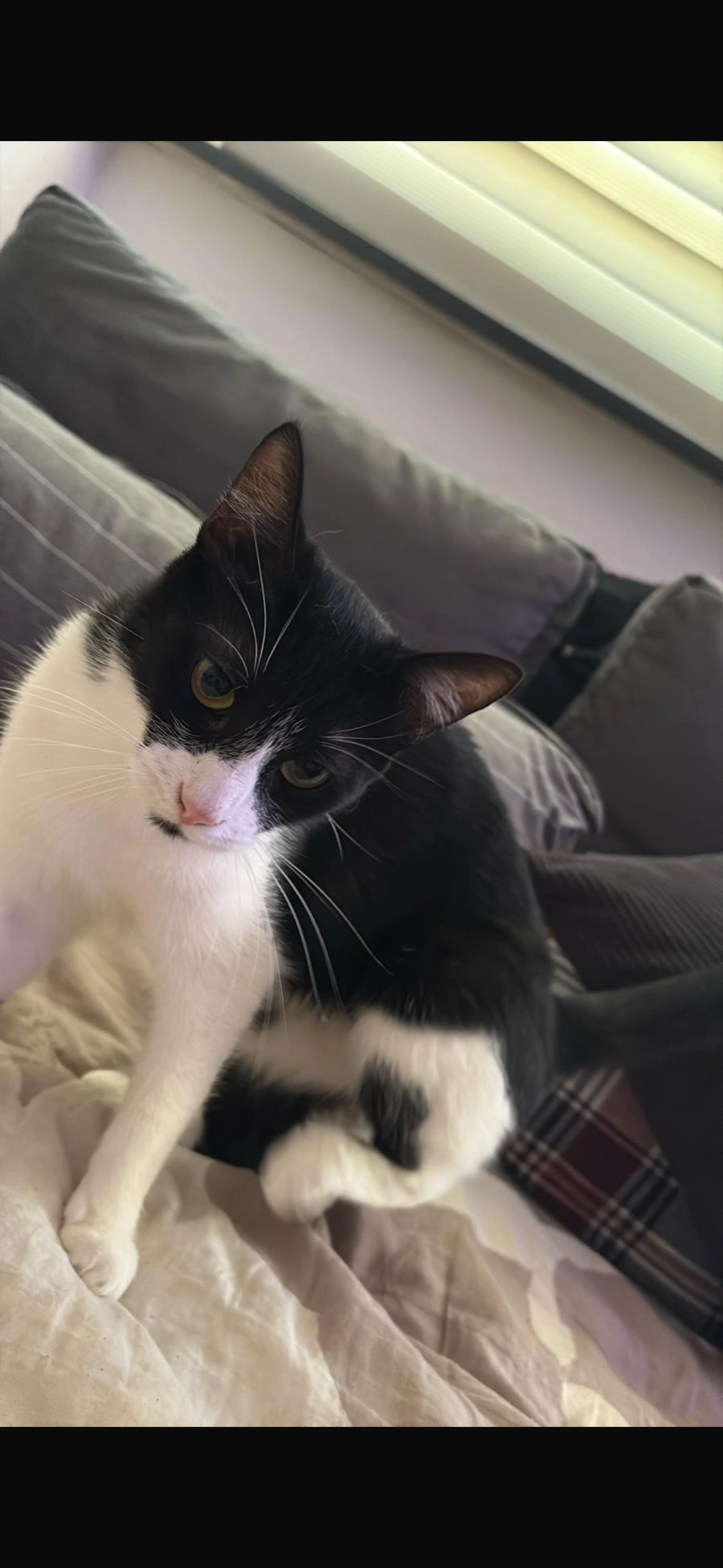 Gucci - Dotzheimer Straße, Wiesbaden