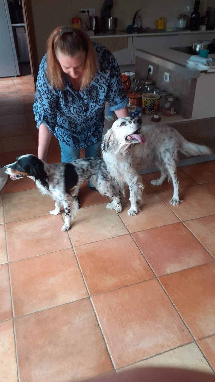 SUKI - Route De Cauvignac, Lavazan