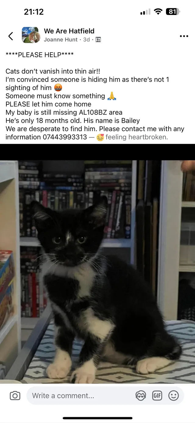 Bailey - 36 Saint Etheldreda's Drive, Hatfield