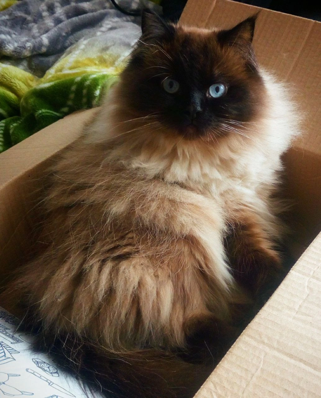 Luna - Zum Burgstall, Gunzenhausen