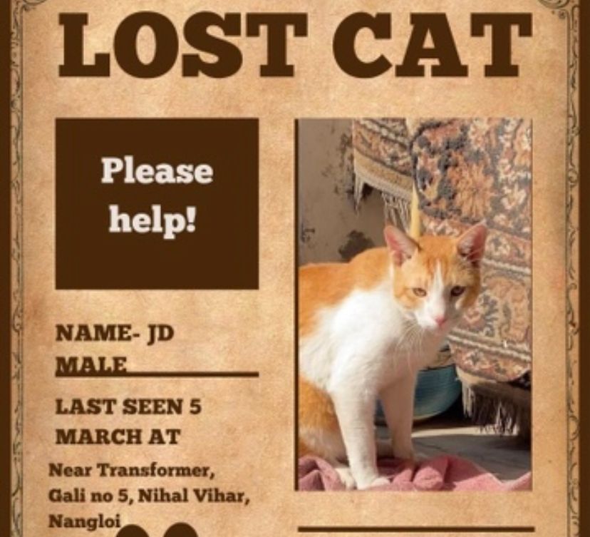 Jd - Nihal Vihar, New Delhi