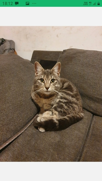 ronda - Rue Marius Richard, Puisieux