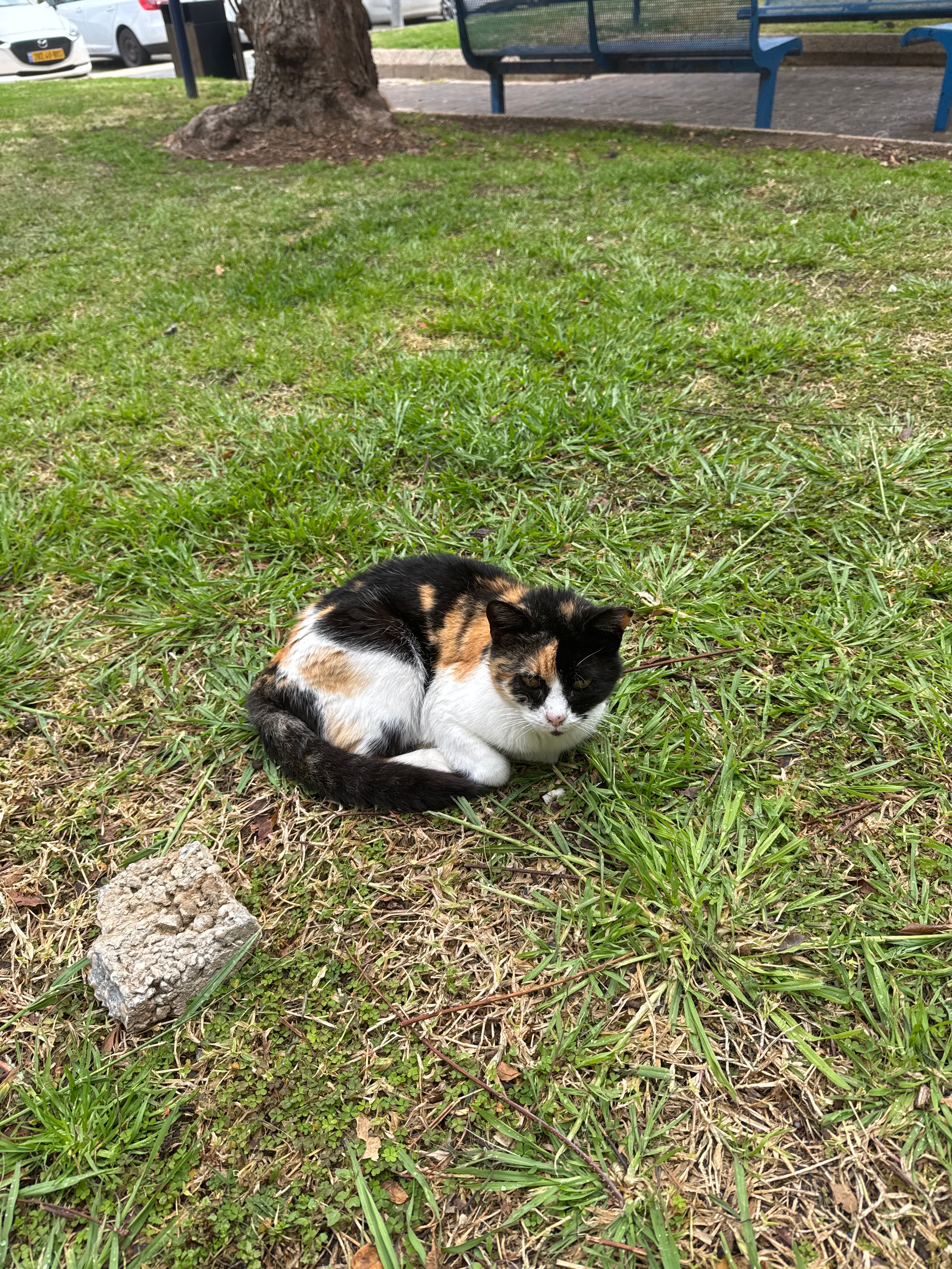 I don’t know   - Irit, Tel Aviv