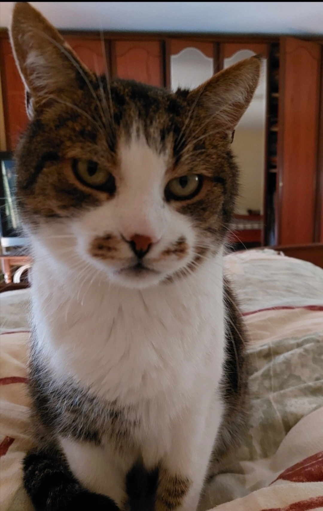 Romeo - Schönprunnstraße, Miltach