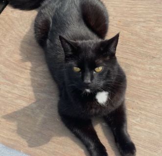 Nero - J. H. Jurresstraat, Heerenveen