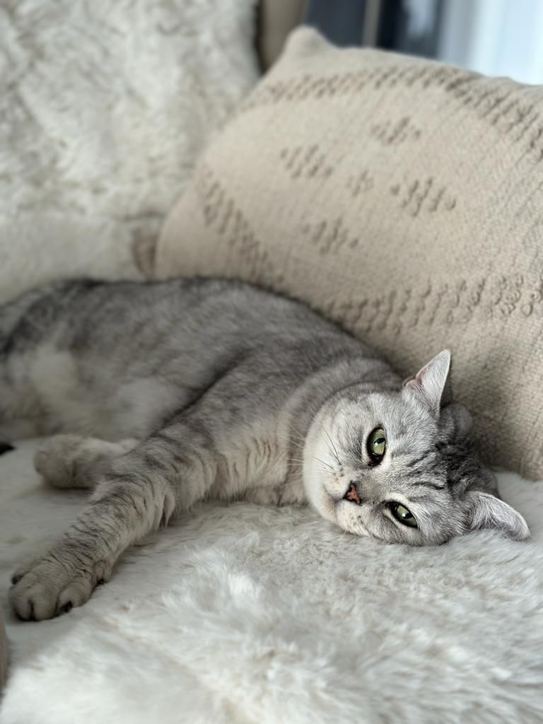 Maja - Akazienstraße, Nordhorn