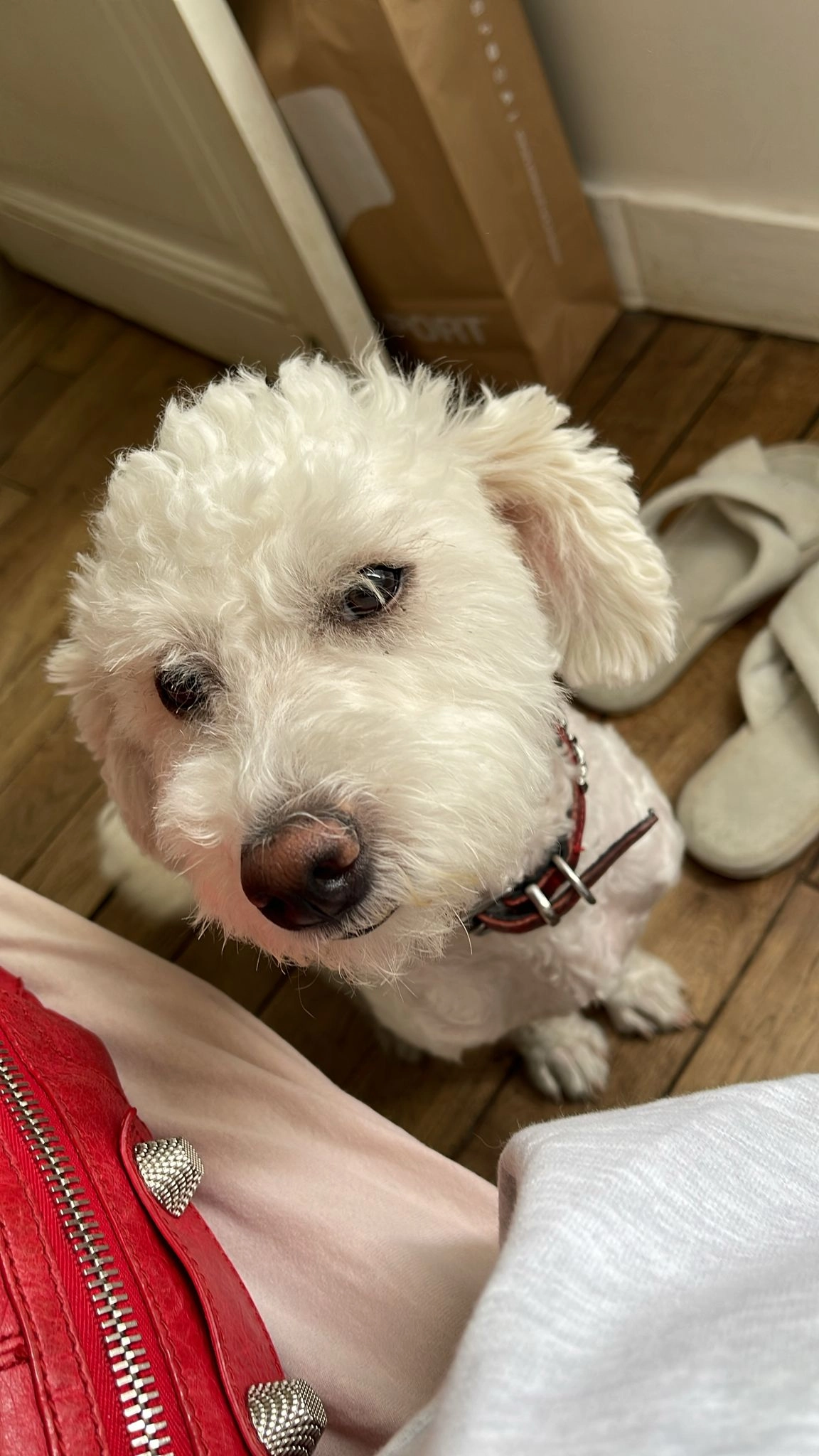 Snoopie  - 38 Boulevard de la République, Boulogne-Billancourt