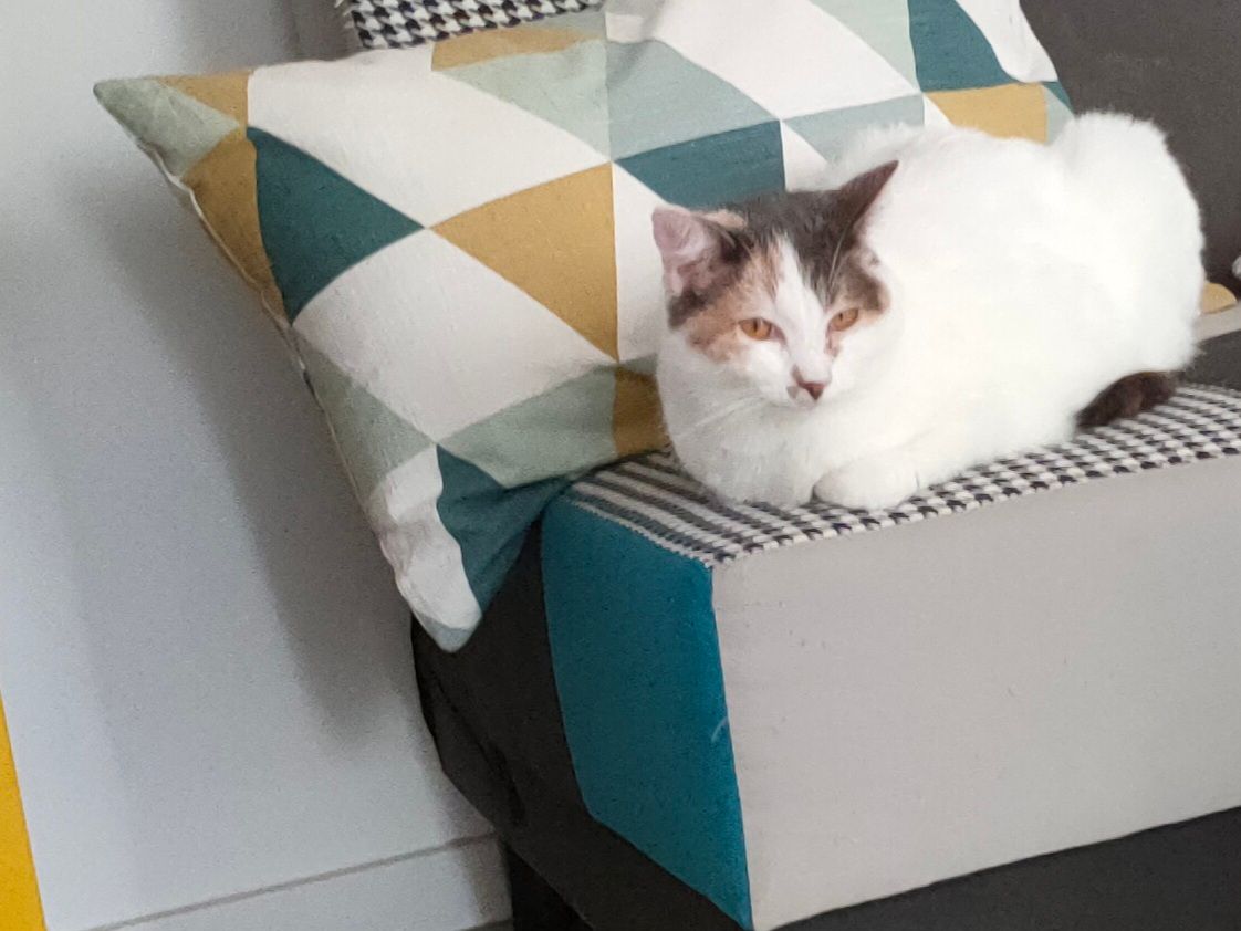 Suzie  - Rue de Pontpierre, Faulquemont