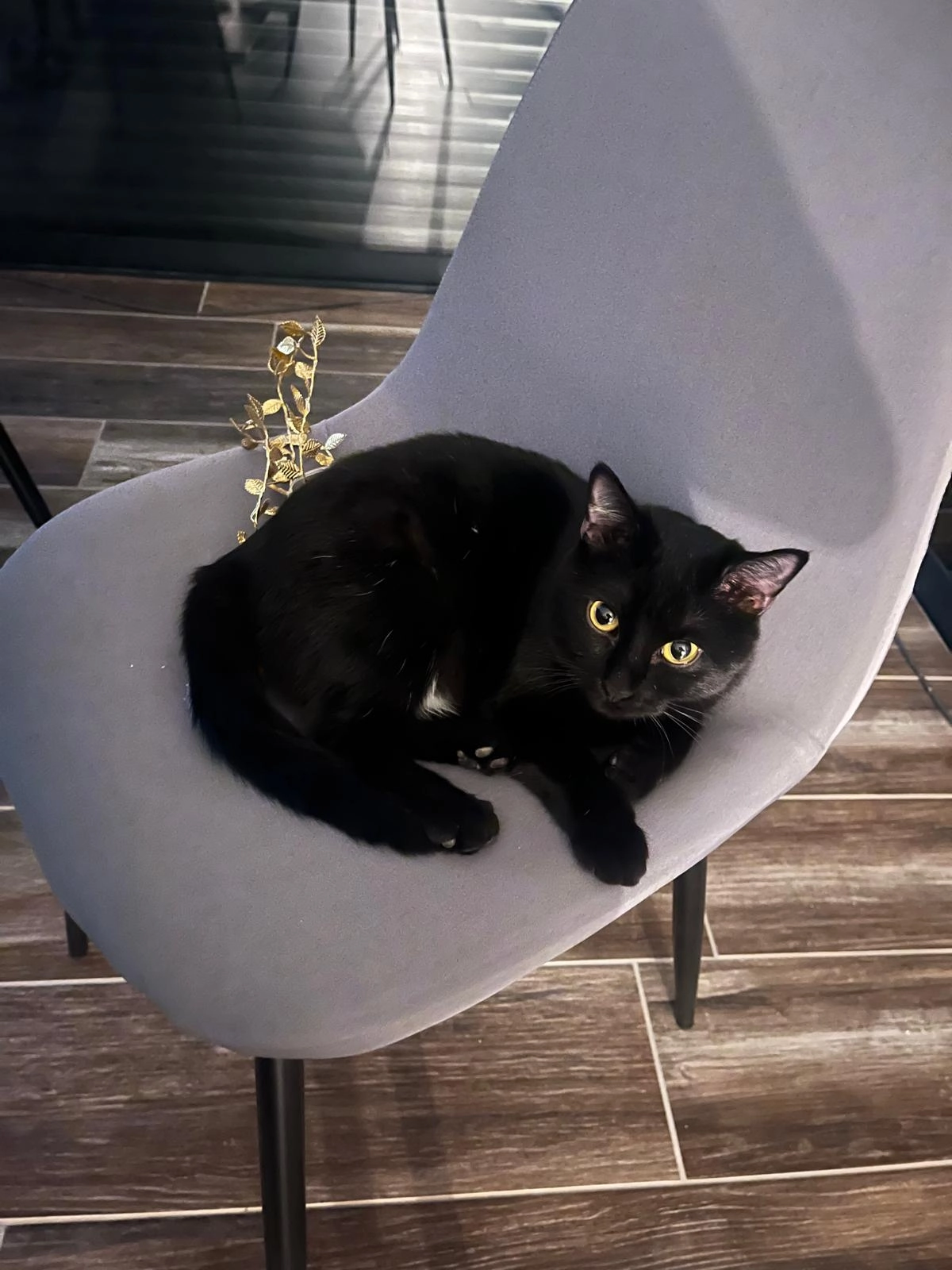 Lucy - Route Des Hameaux, Minzier