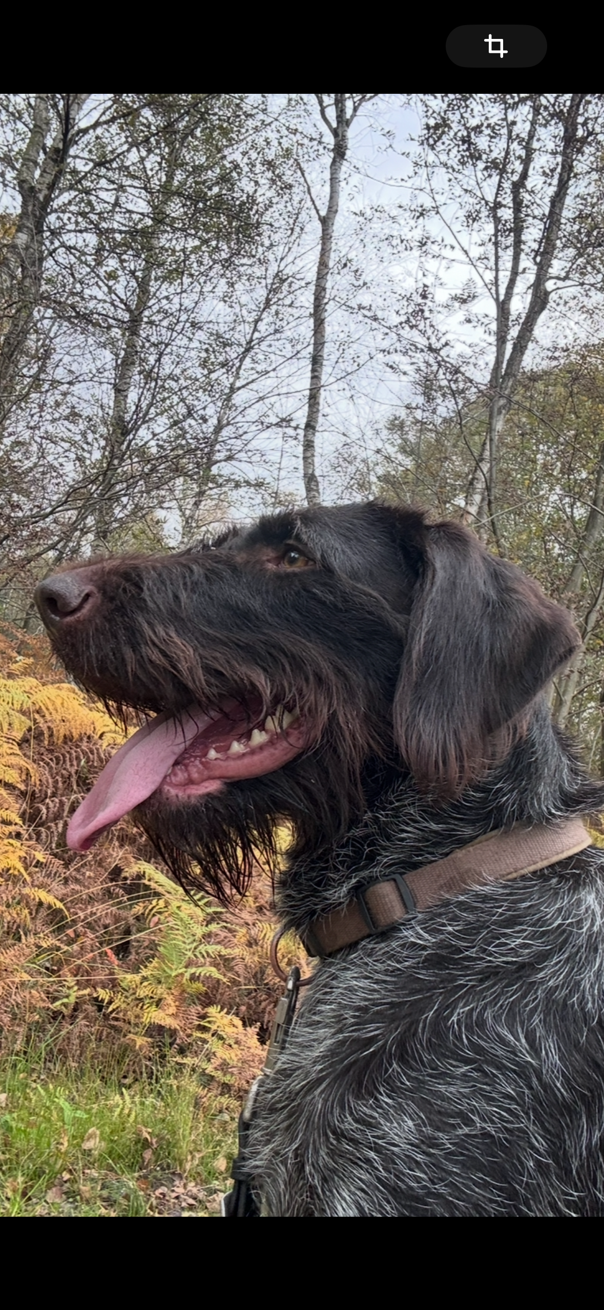 Amber - Felderbachstraße, Hattingen