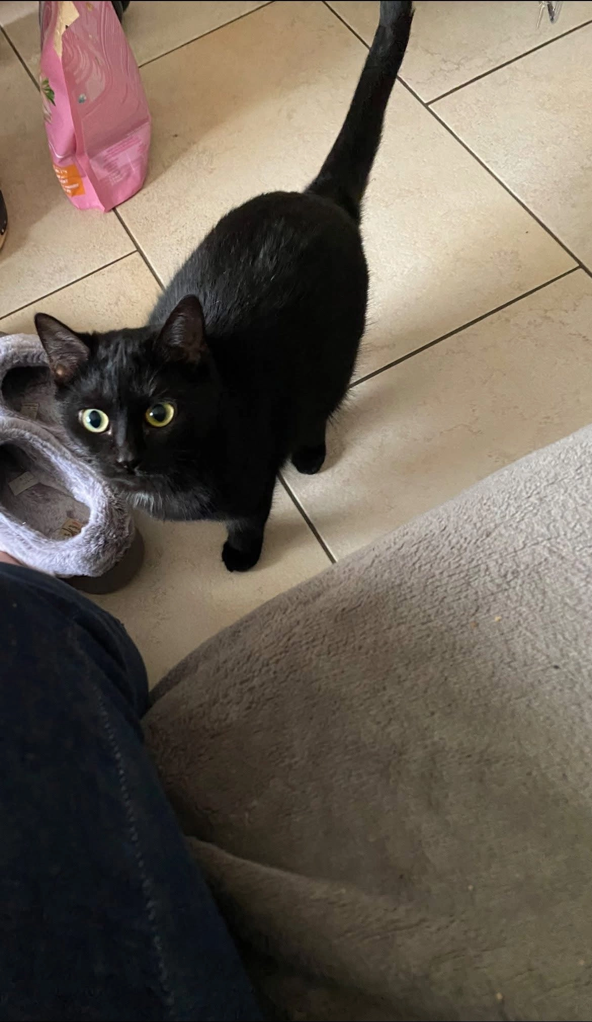 Lilly - Westeindestraat 82, Maldegem