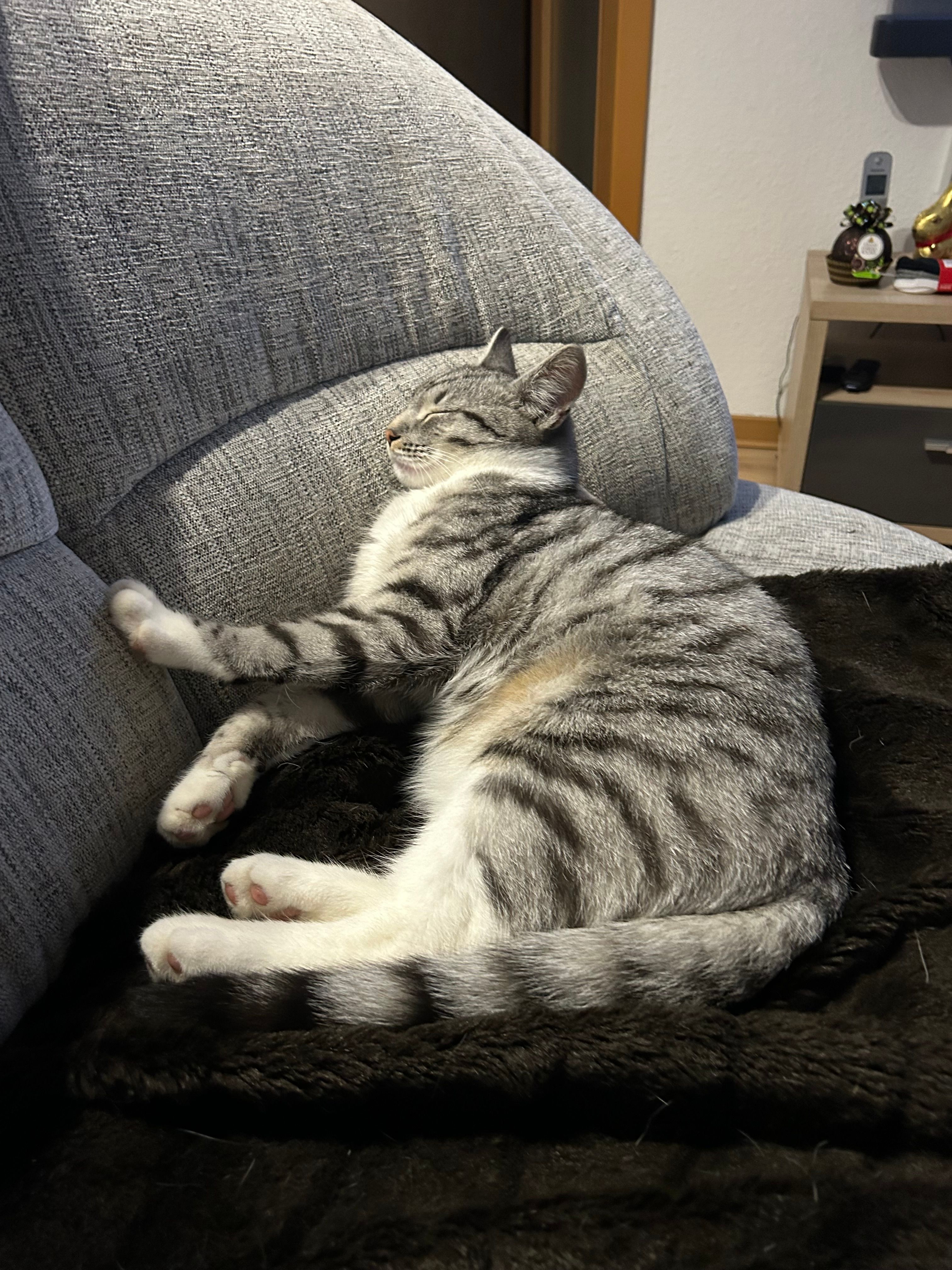 Baki  - Kröpeliner Straße, Bad Doberan