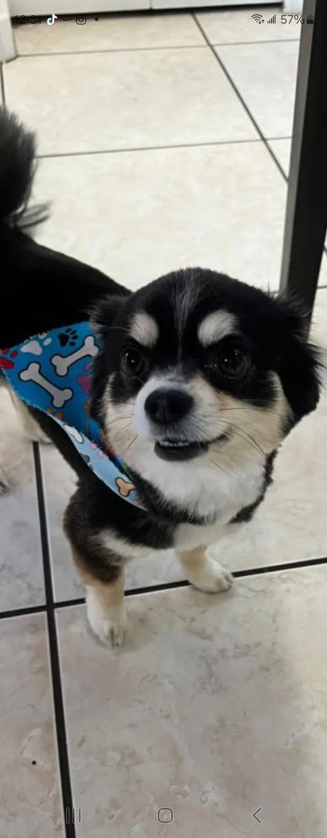 Milo - 34759, Kissimmee