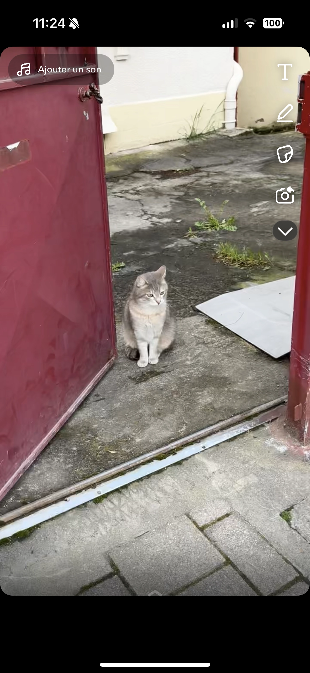 Ramses  - Impasse Chassain De La Plasse, Roanne