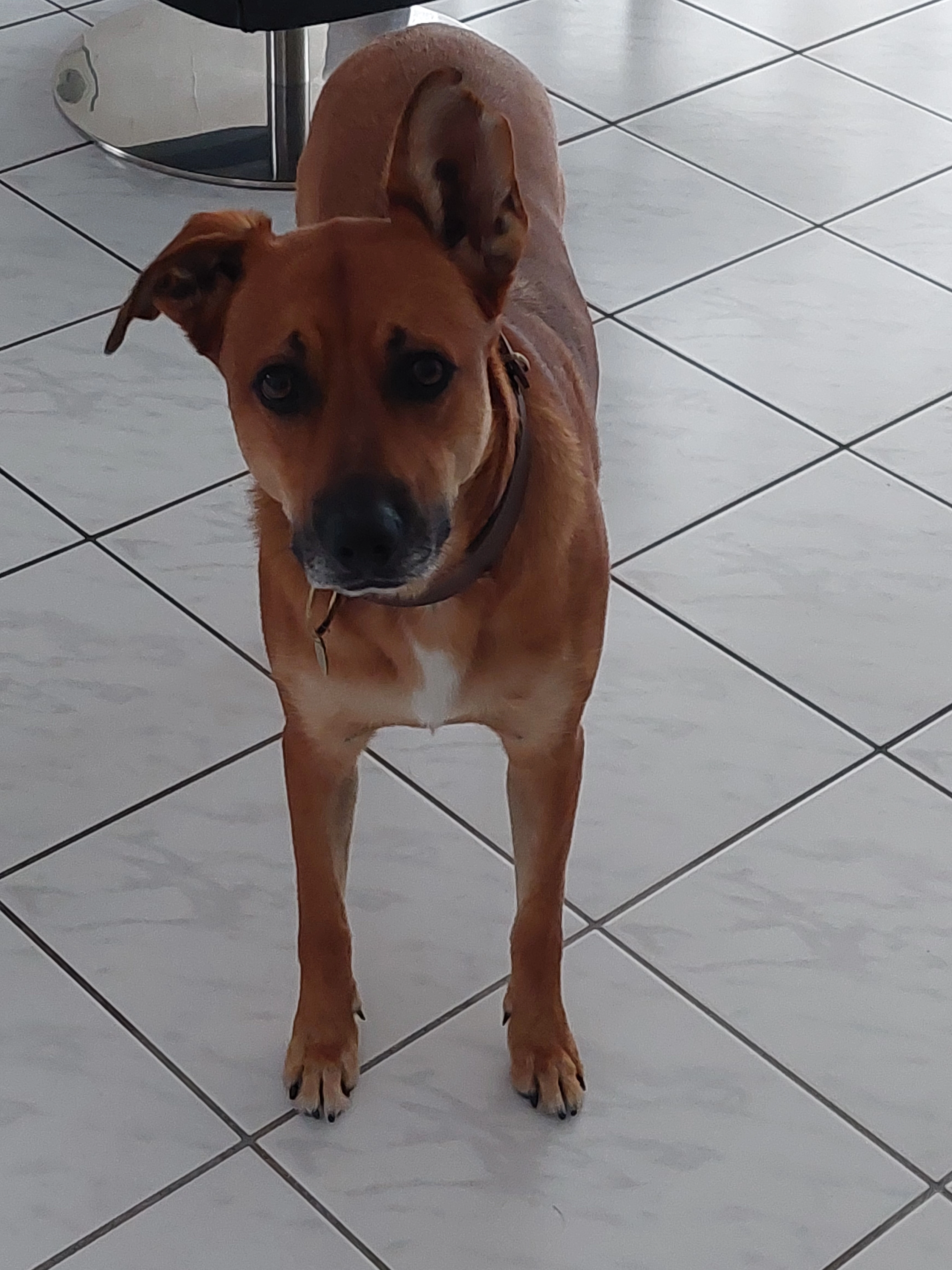 wayce - Rue Jean Martin, Mulhouse