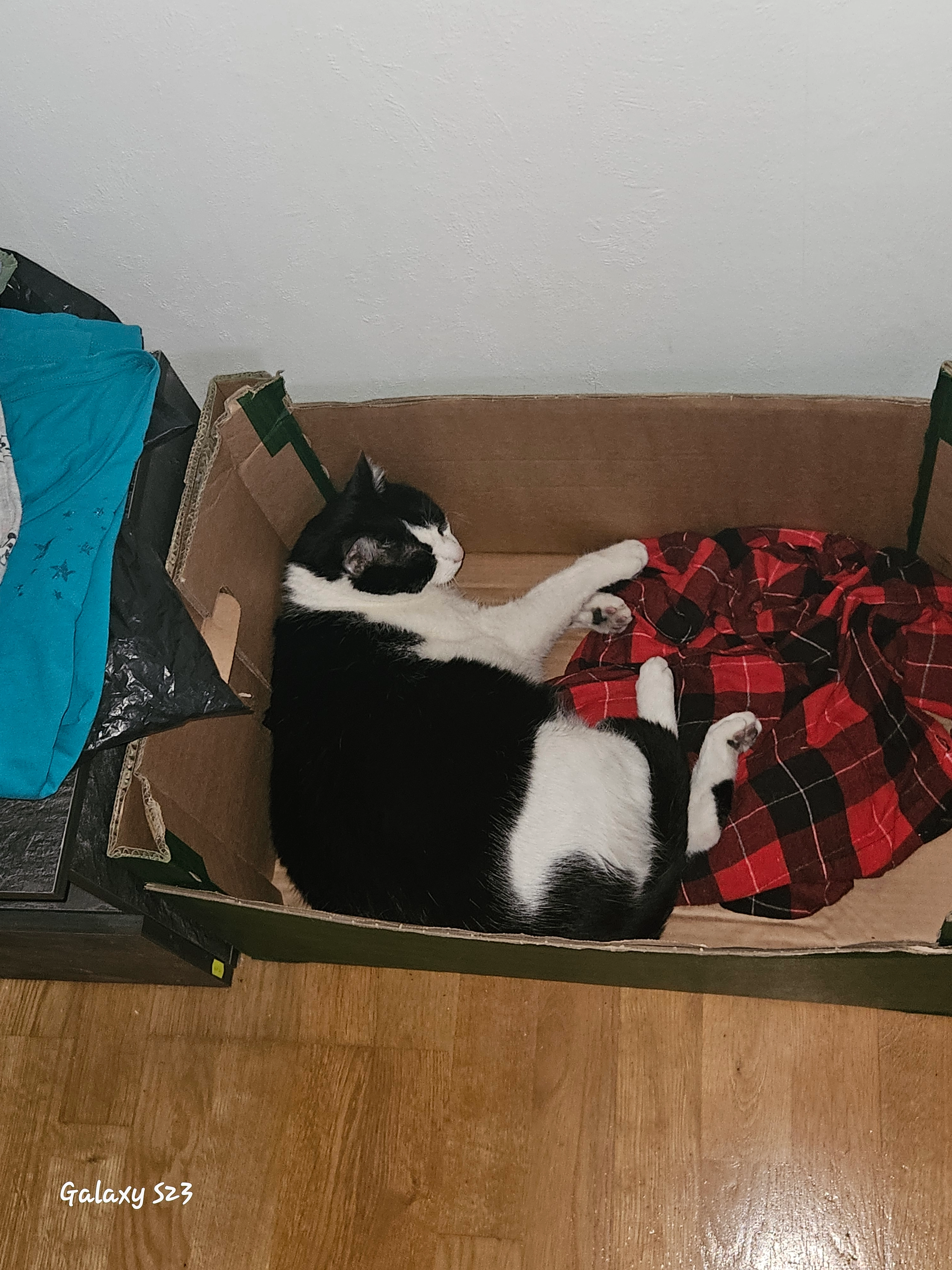 Felix - 66333, Völklingen