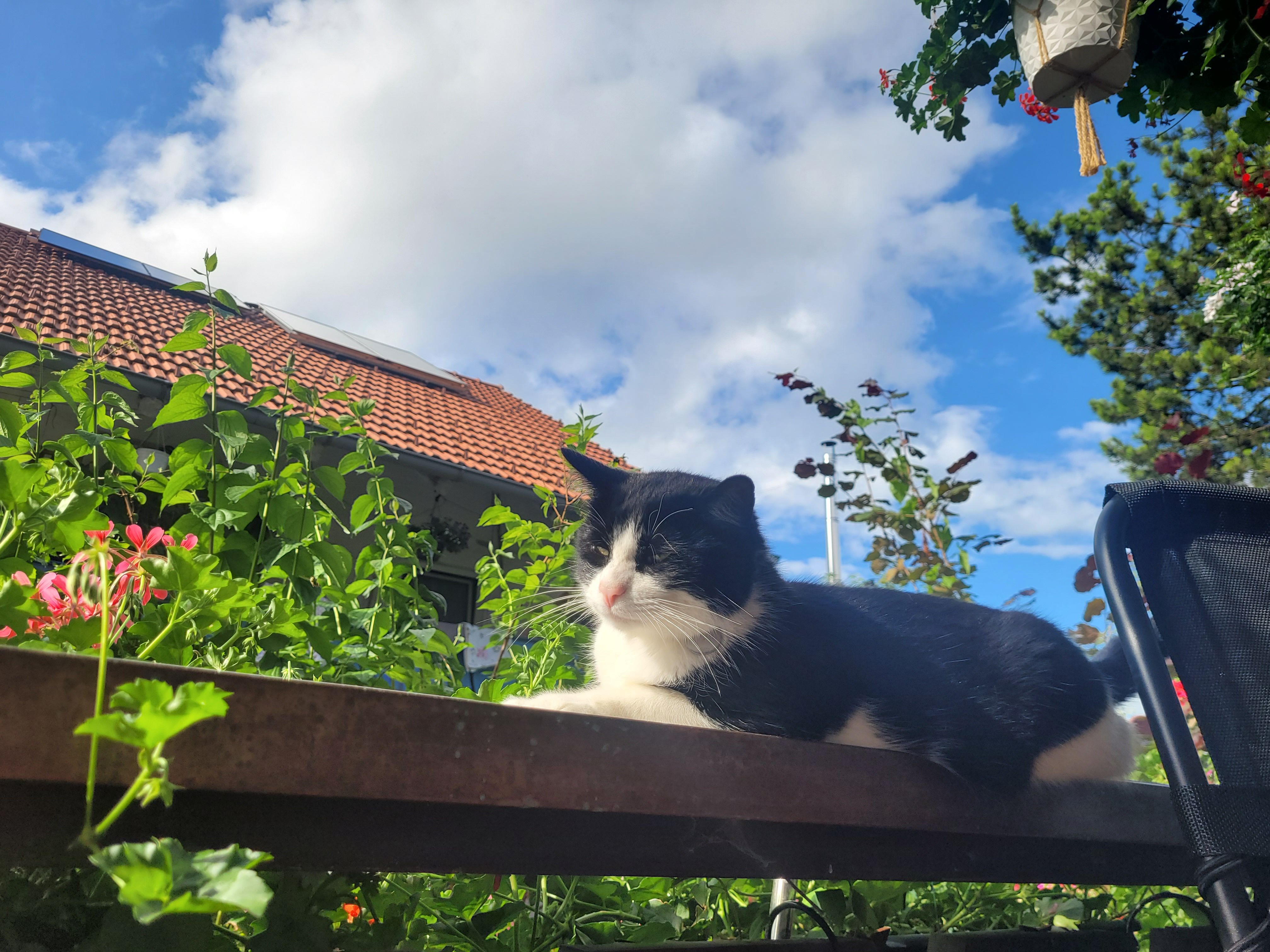 Pisu - Helmensteiner Straße, Lechbruck am See