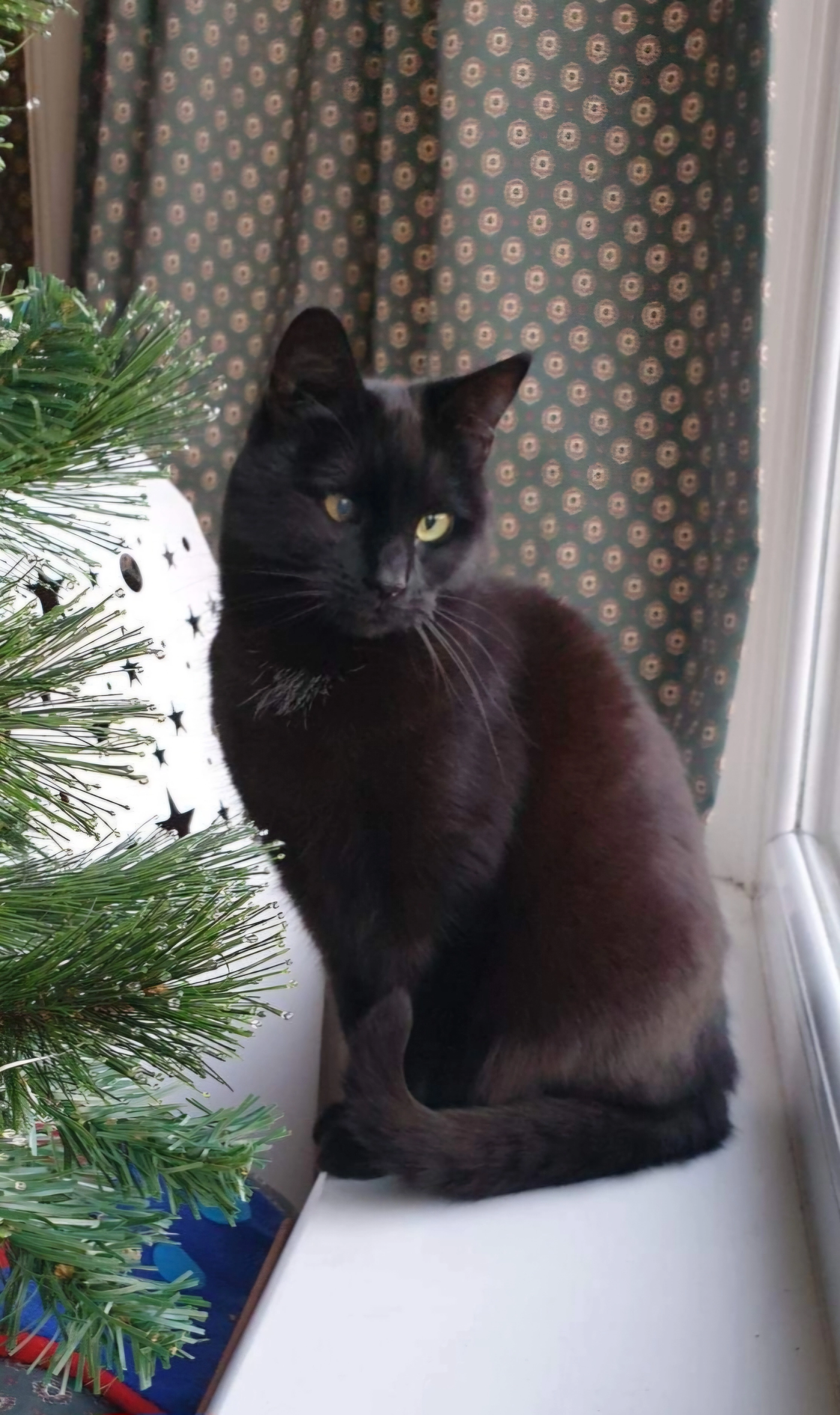 Luna - Dickens Lane, Stockport