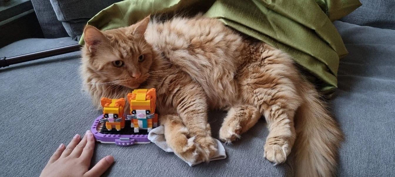 Lejona - EdinsvÀgen, Nacka