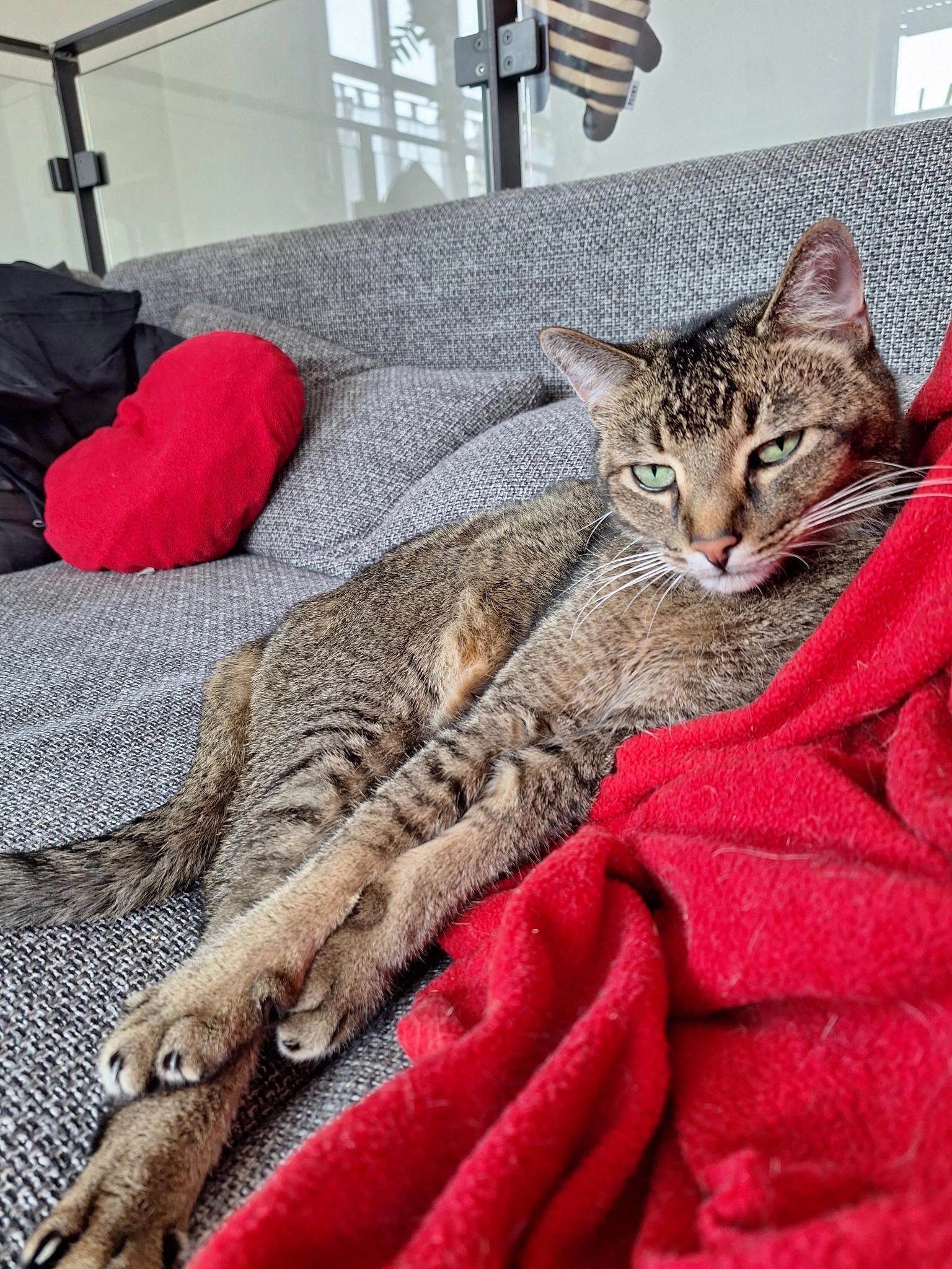 Leo - Erlenweg, Hirschaid