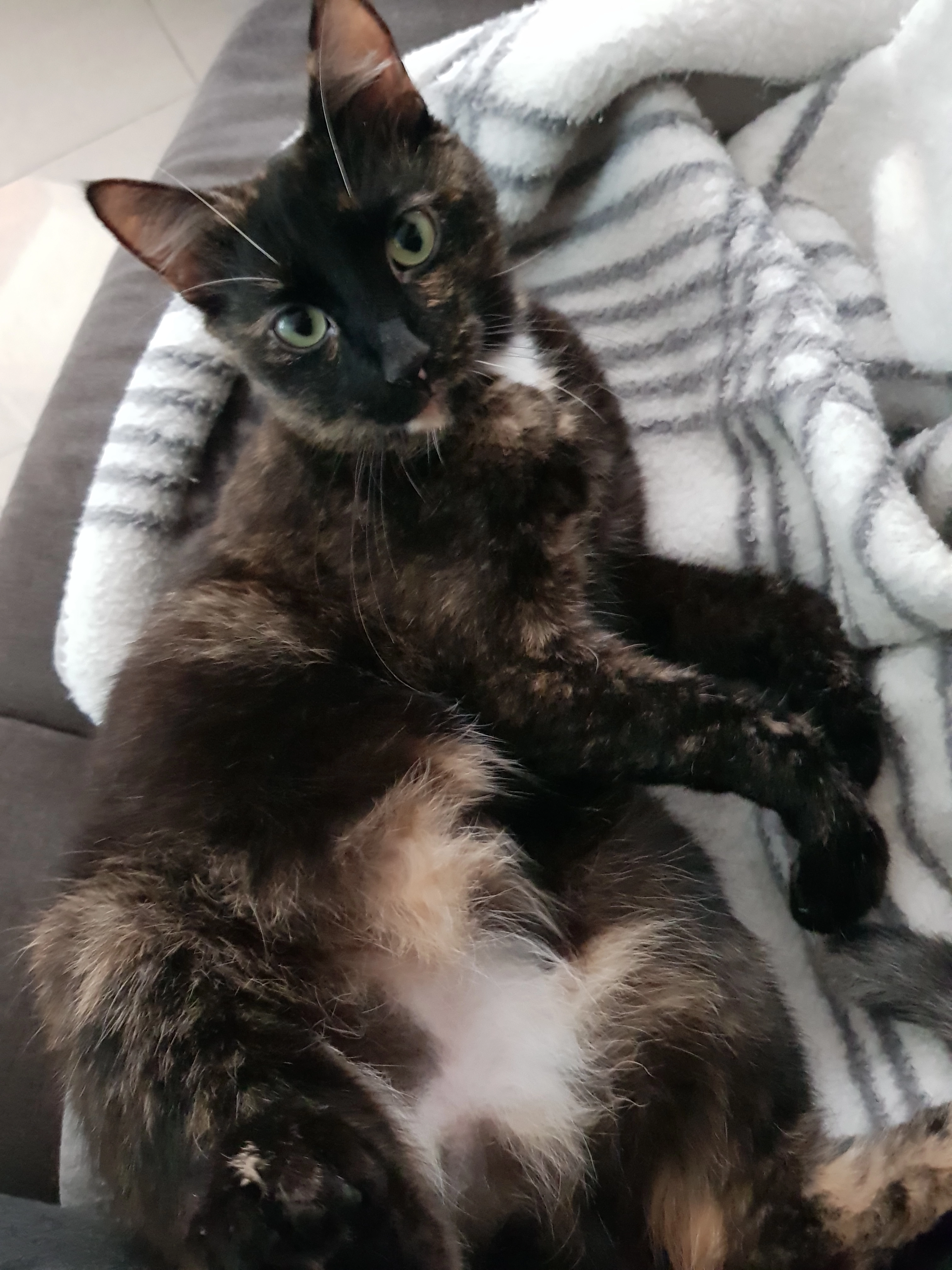 Lilly - Elsa-Brändström-Straße, Lünen