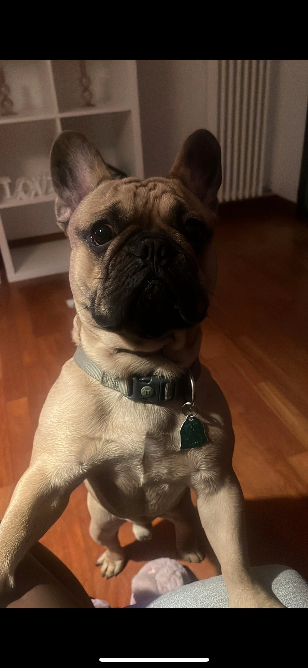 Capone  - Via Piave, Grumolo delle Abbadesse