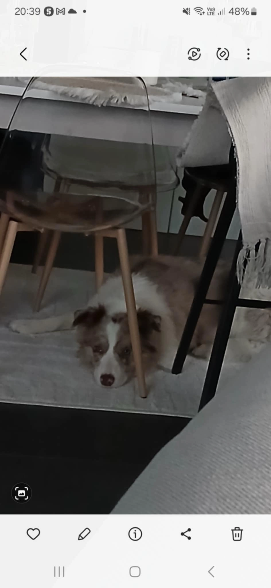 Coco - Kasteelstraat - Grand Route, Berloz