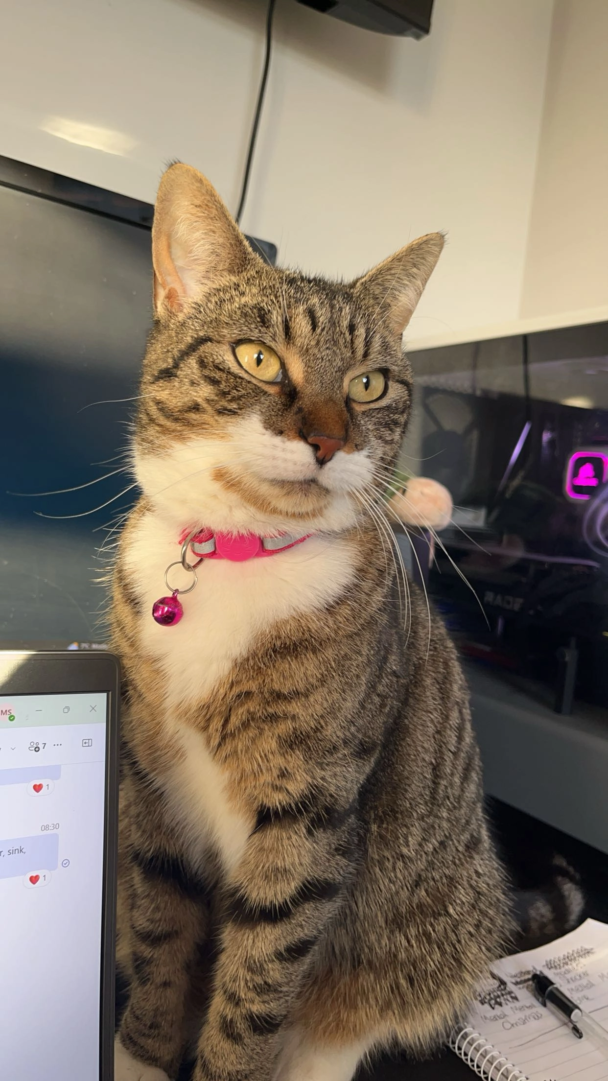 Lula - Fisherbridge Road, Weymouth