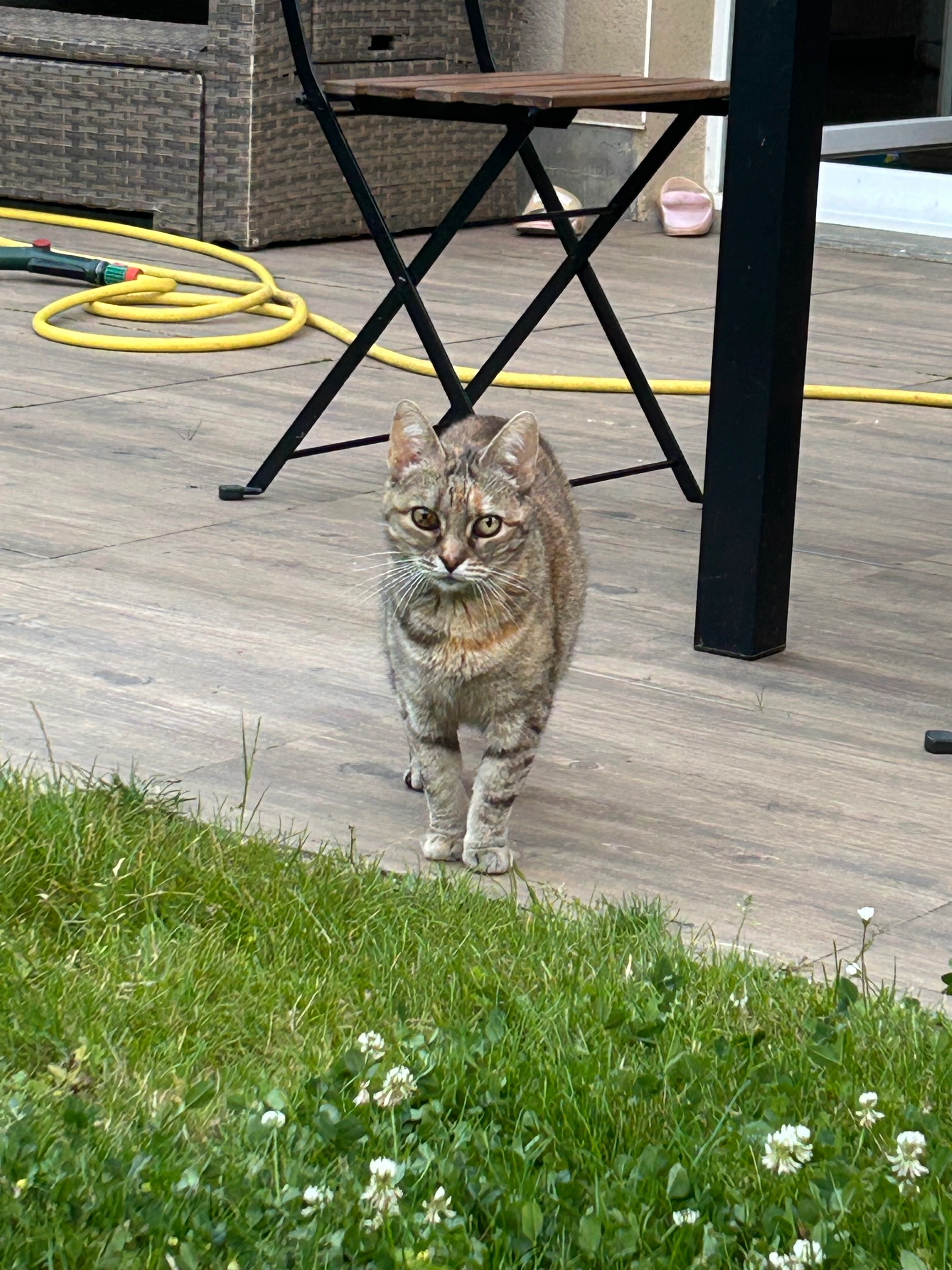 Poulette - Rue de la Fontaine, Corny-sur-Moselle