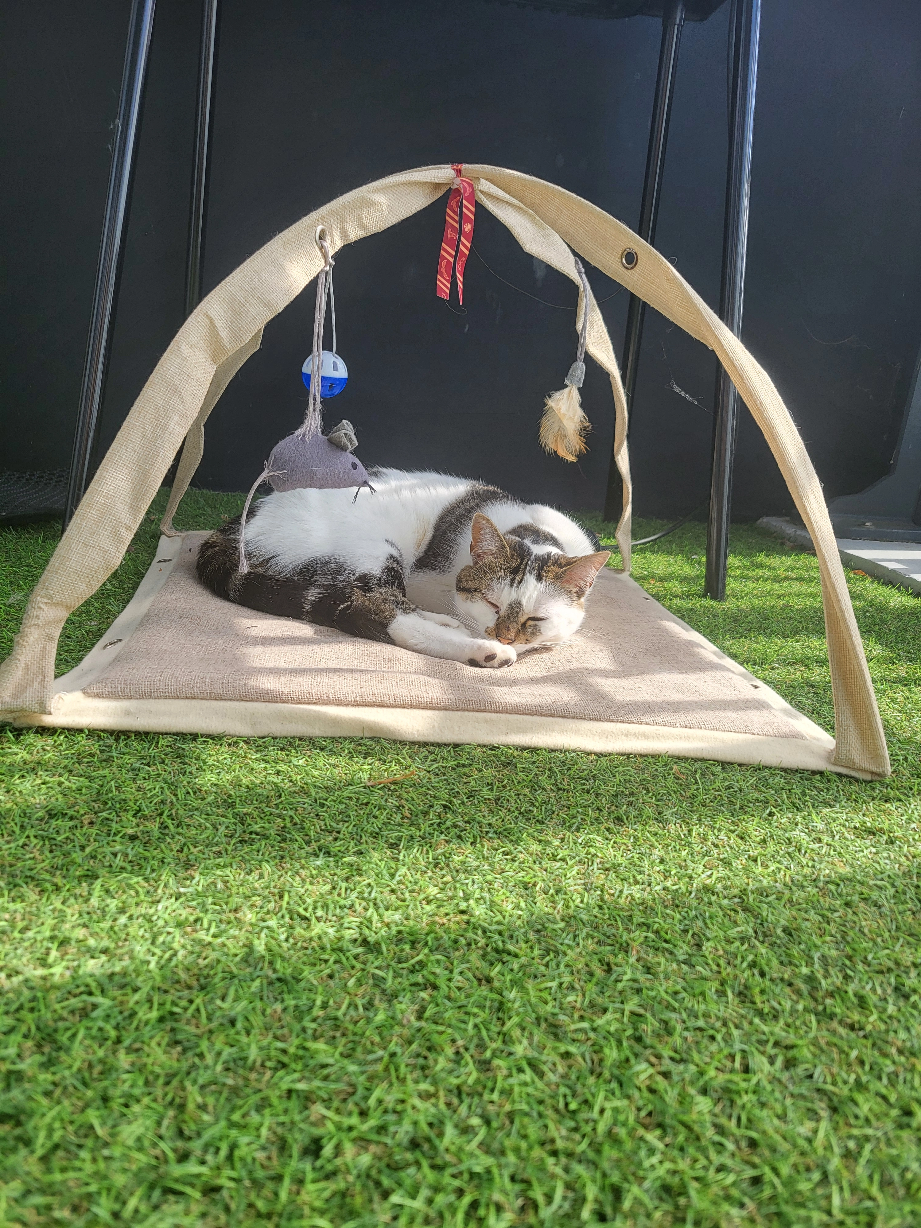 Méora - Rue de Mâlon, Caen