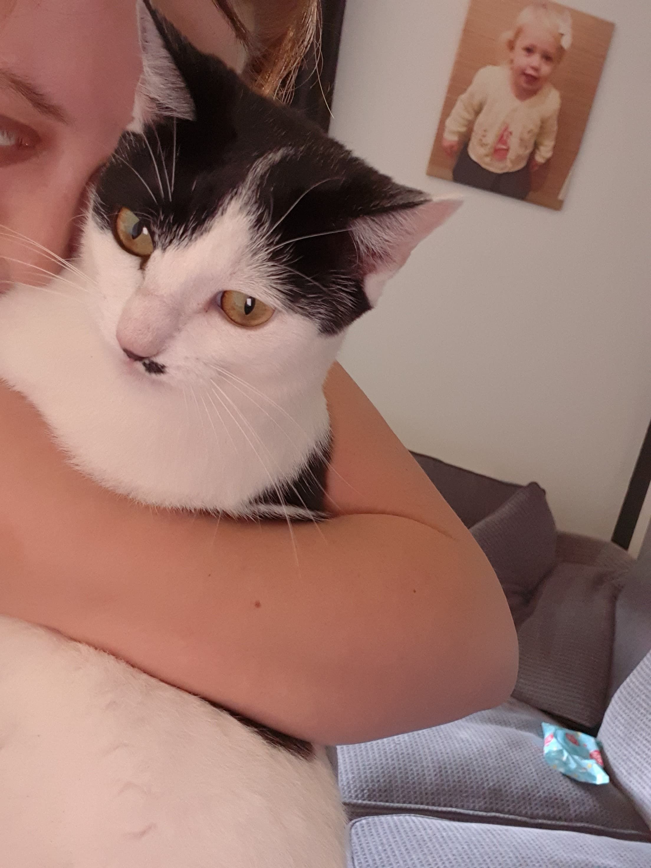 Patches  - Pheonix Drive, Doncaster