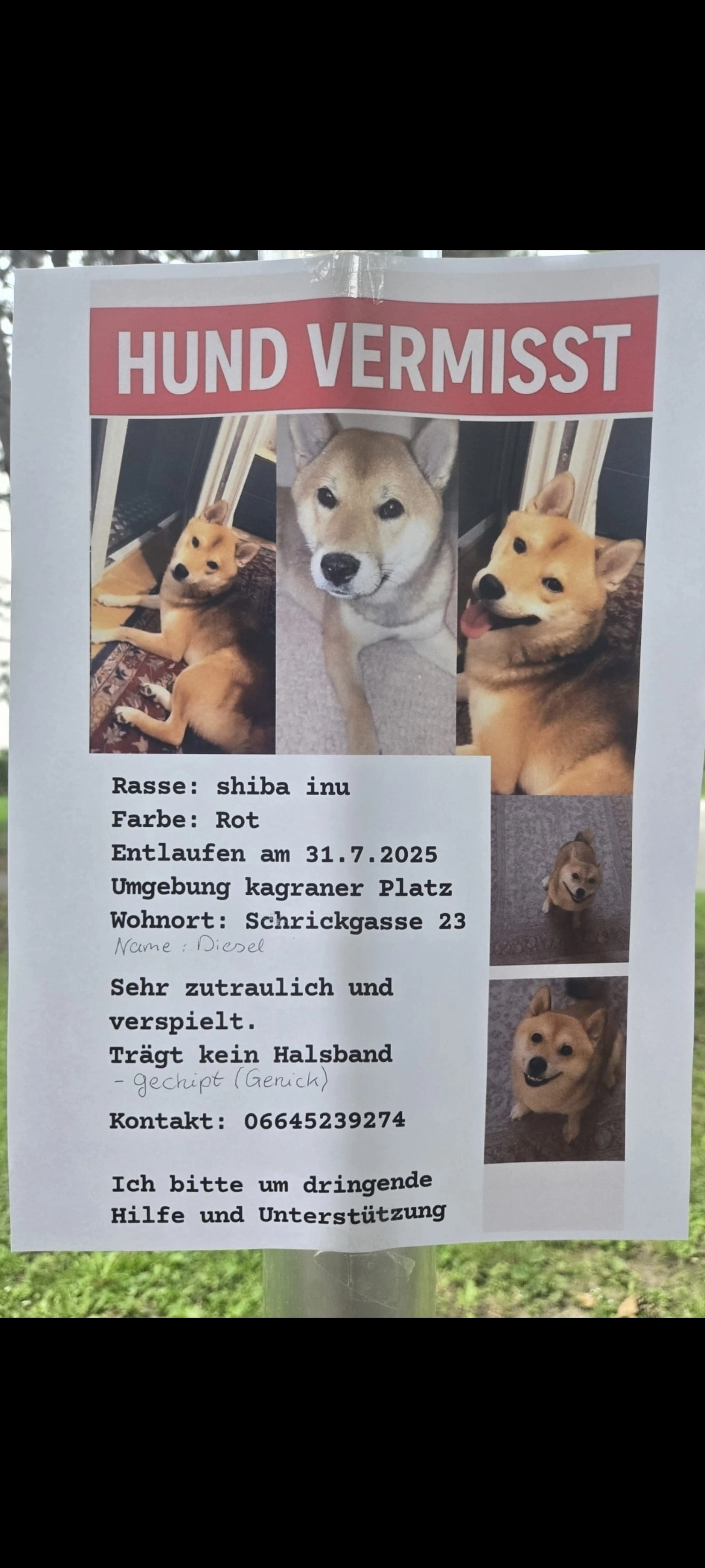 Diesel - Schrickgasse, Wien