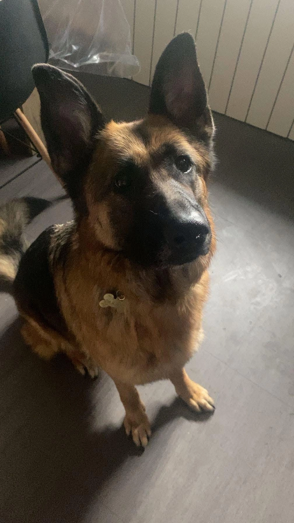 Saraby - Impasse Des Coquelicots, Petit-Couronne