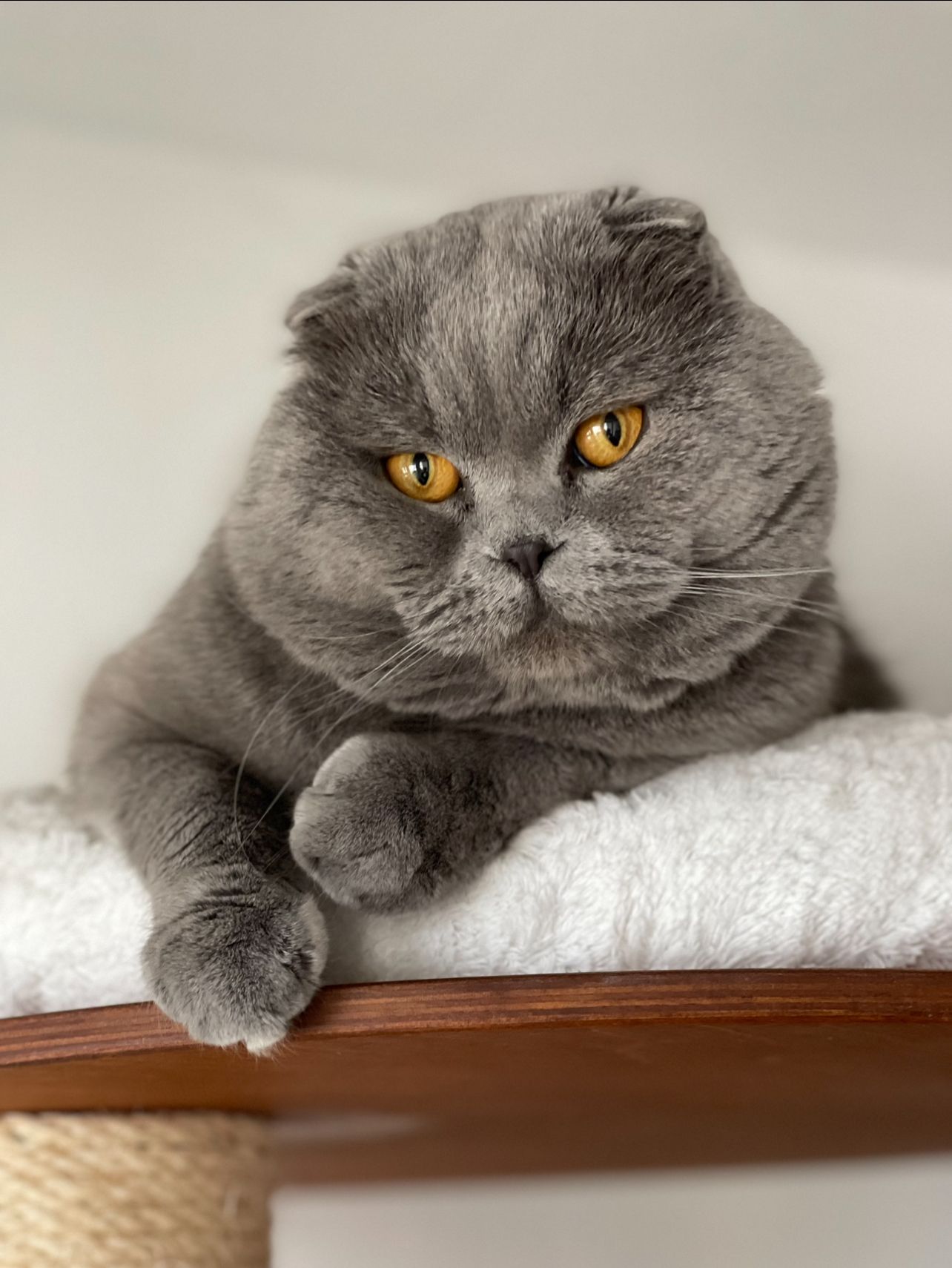 Efecan - Kapellenstraße, Mühldorf am Inn