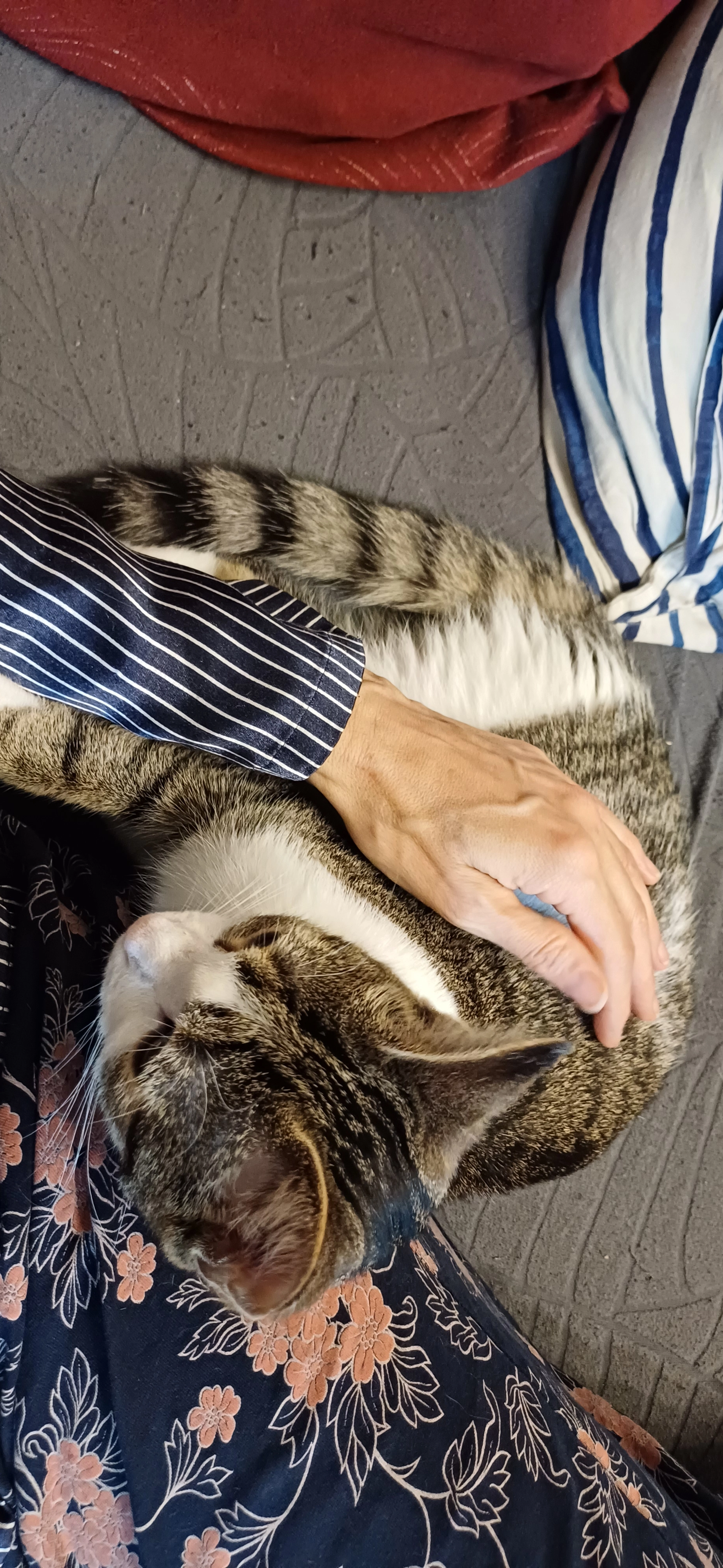 Lilo - 8 Rue Principale, Useldange