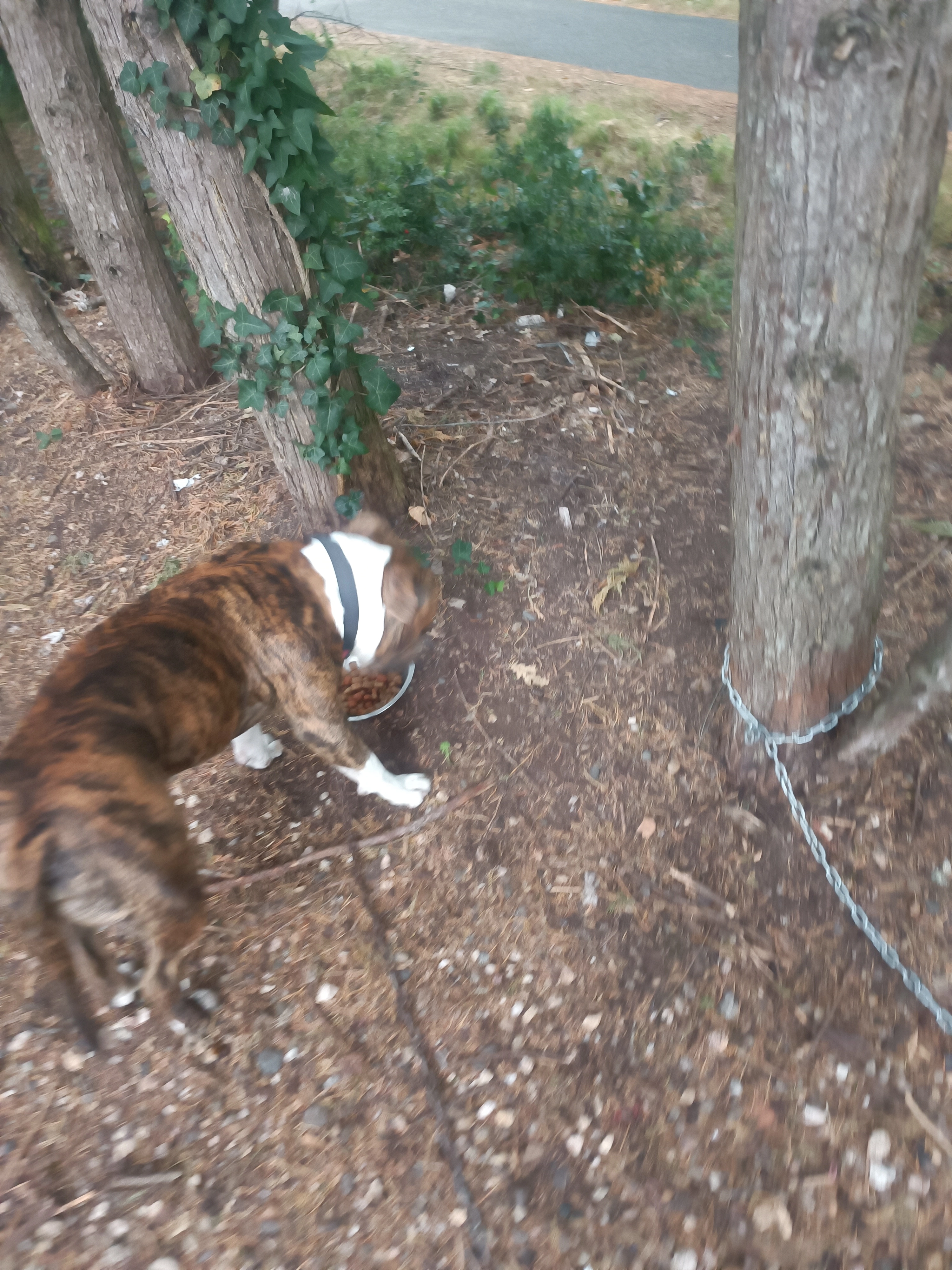 Vatos - Route Des Viguiers, Monclar-de-Quercy