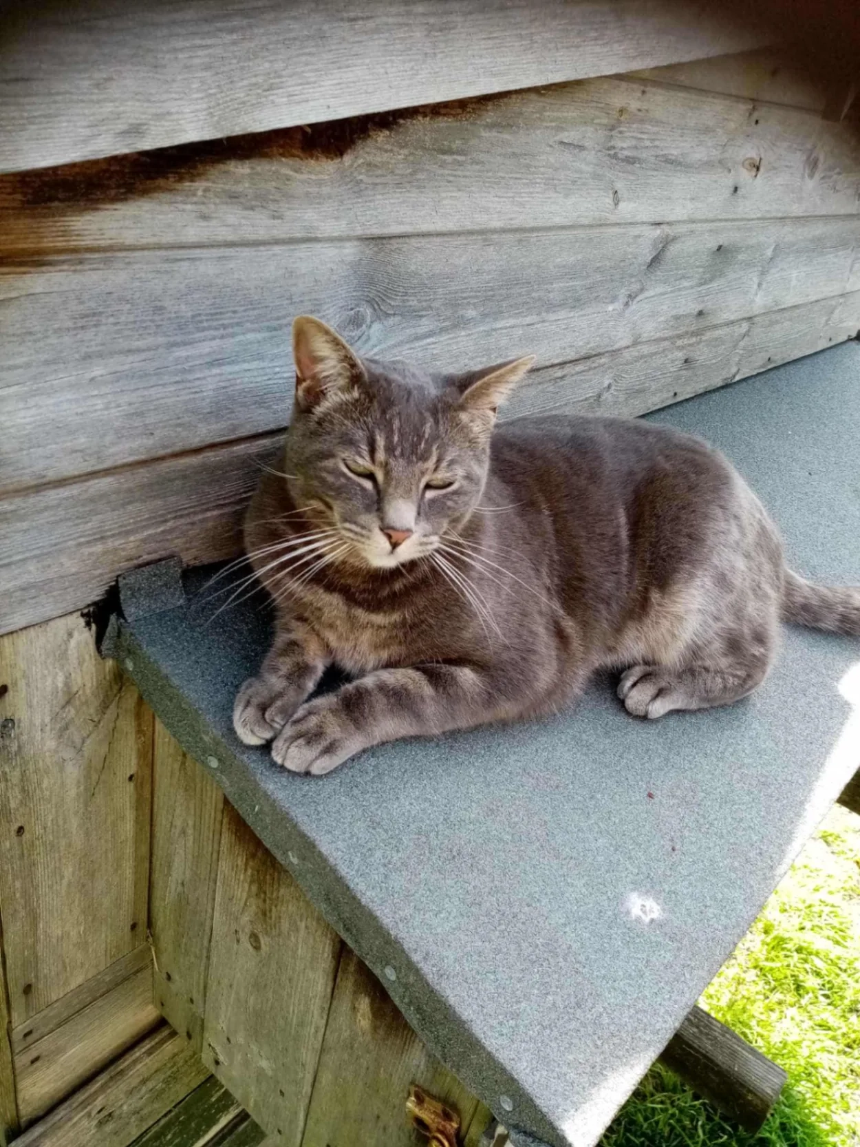 Spike - Pen-y-Turnpike Road, Dinas Powys