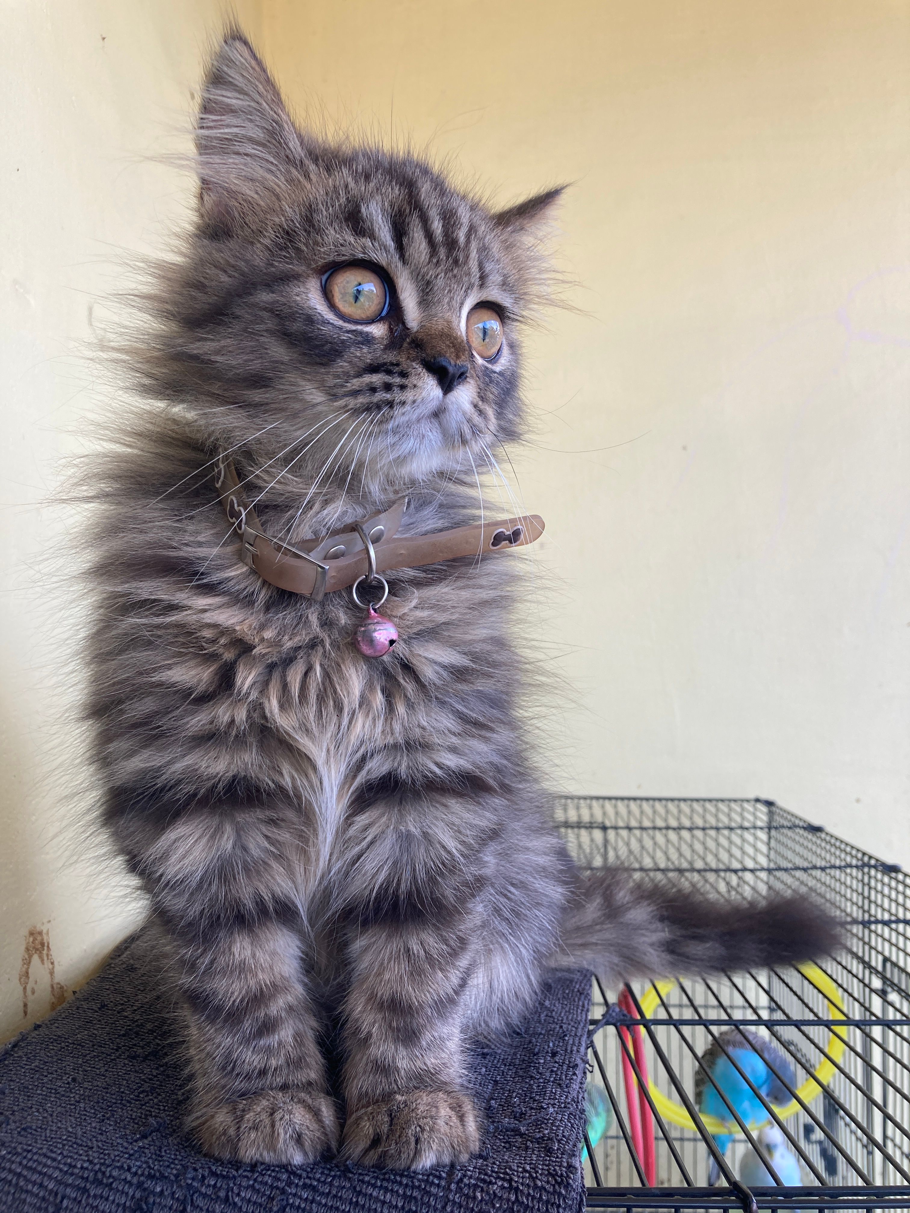 Happy - Vanjipalayam Road, Tiruppur