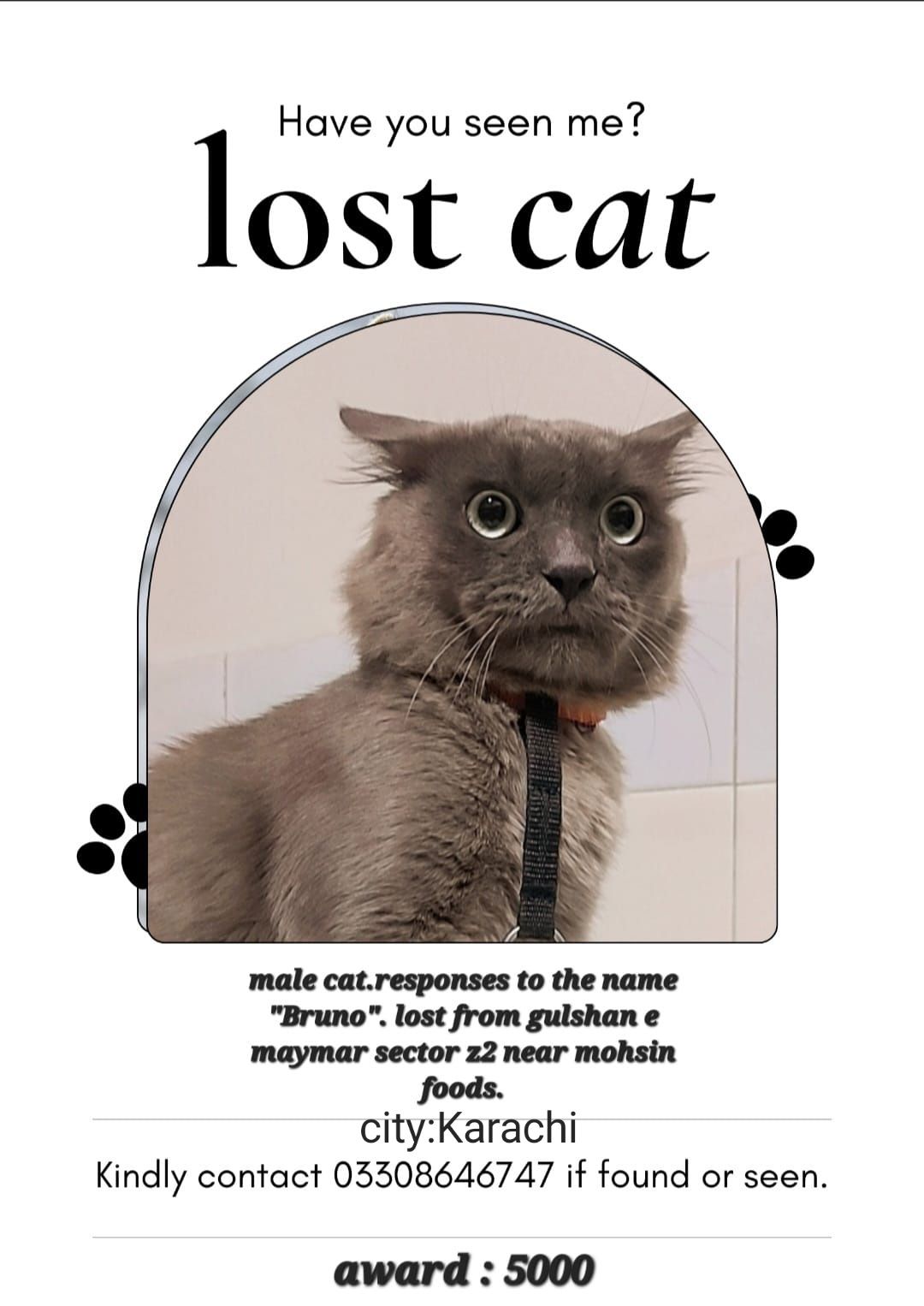 Bruno - Gulzar-E-Hijri, Karachi