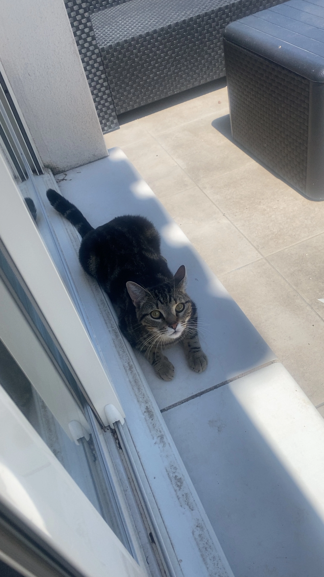 Victor - Rue Henri Barbusse, Nîmes