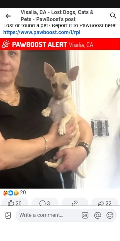 Chica - 15076 Avenue 312, Visalia