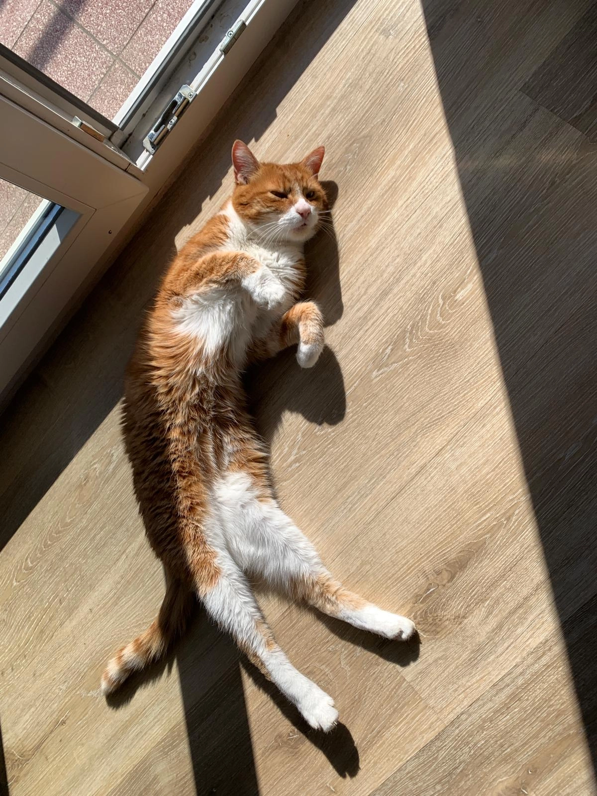 Prinzlein - Hintere Gasse 24A, Herrenberg