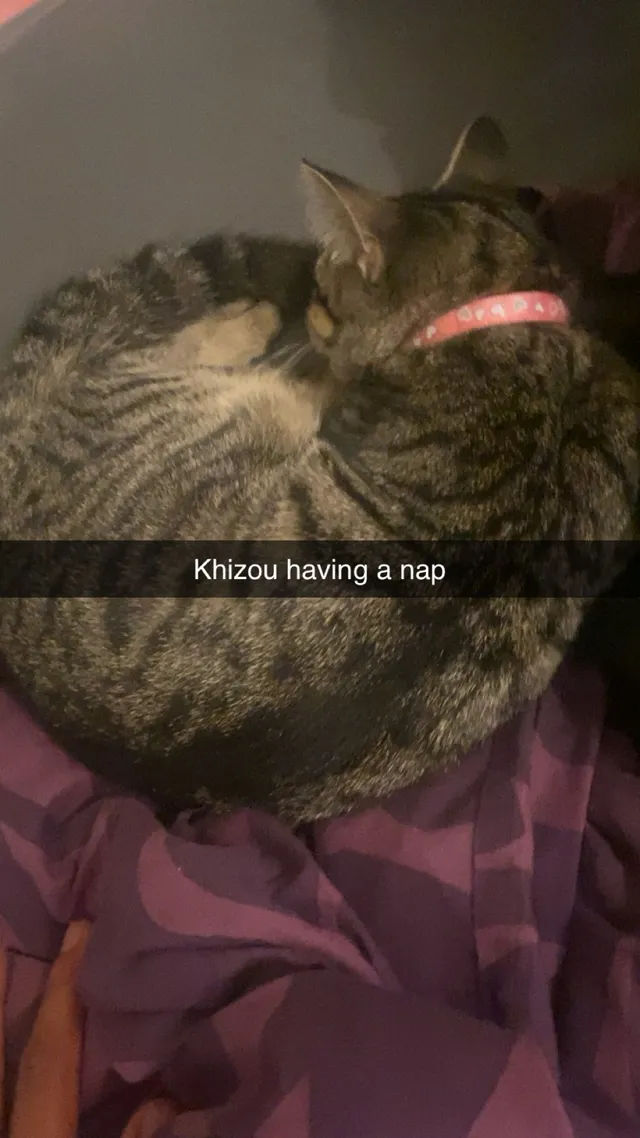 Khizou  - Halfway Street, Sidcup