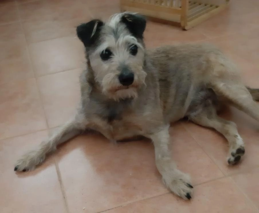 Angelika Kluth - Carrer de Pizarro, Cala Ratjada