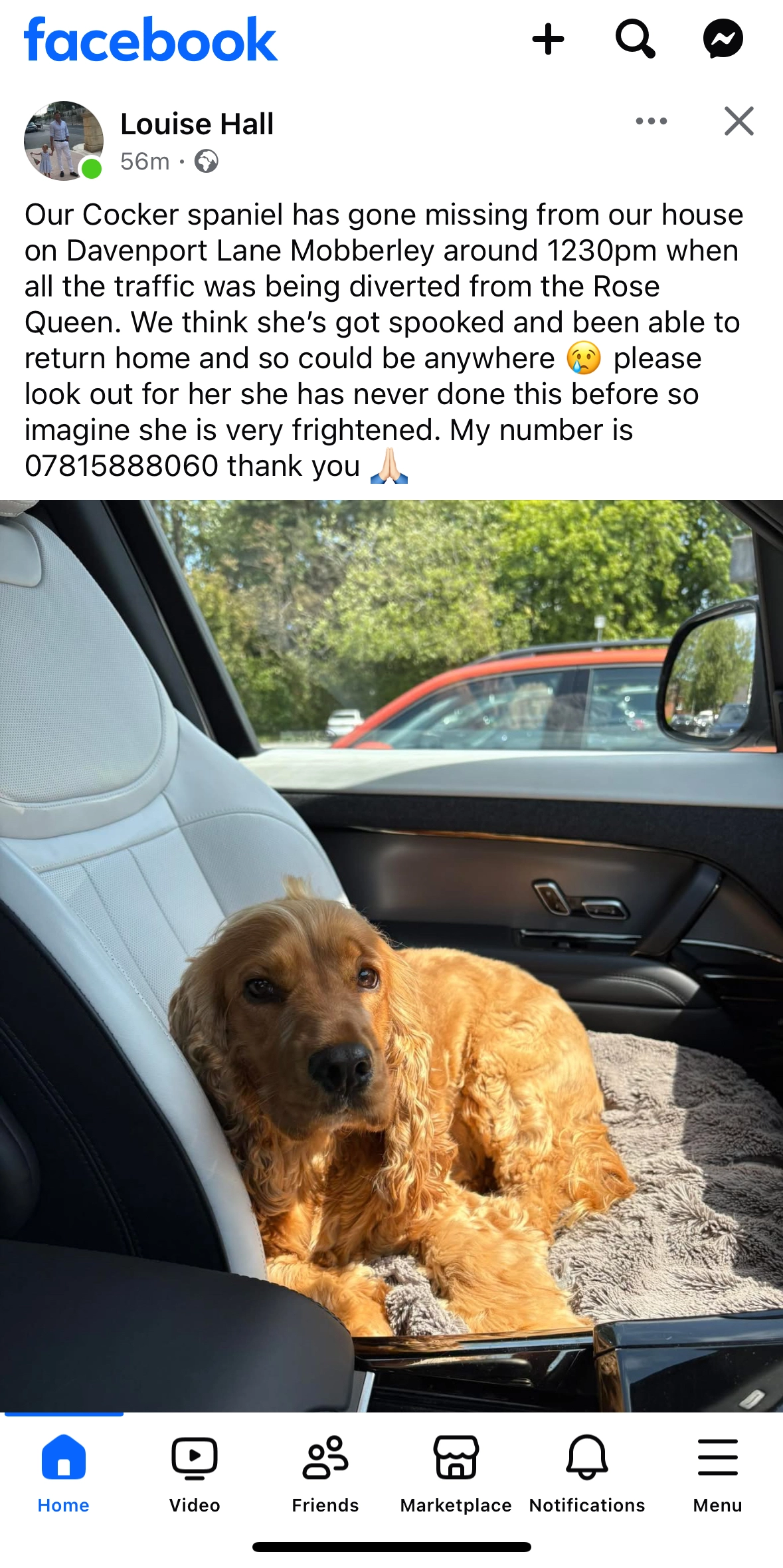 Tara - Davenport Lane, Knutsford