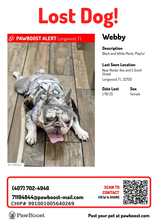Webby  - 458 Reider Ave, Longwood