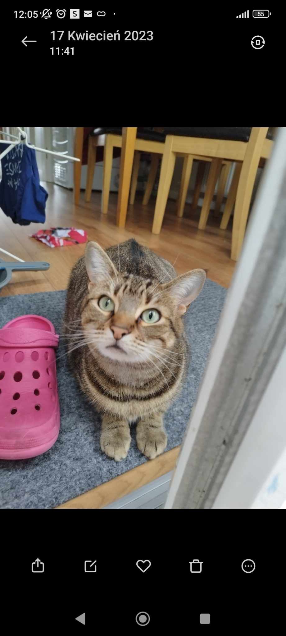 Izi - Blarney Street, Cork