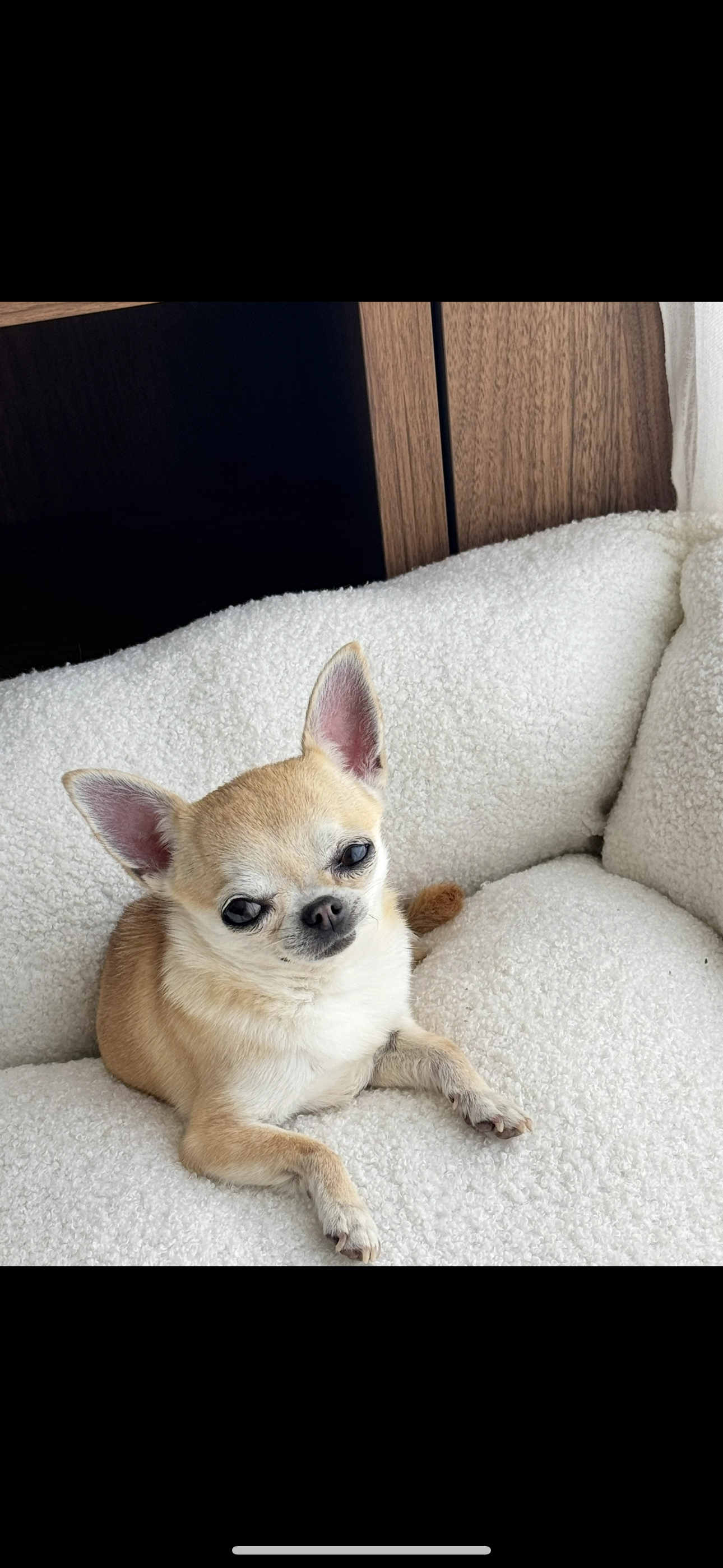 Mélusine - 48 Chemin de Leyran, Villenave-d'Ornon