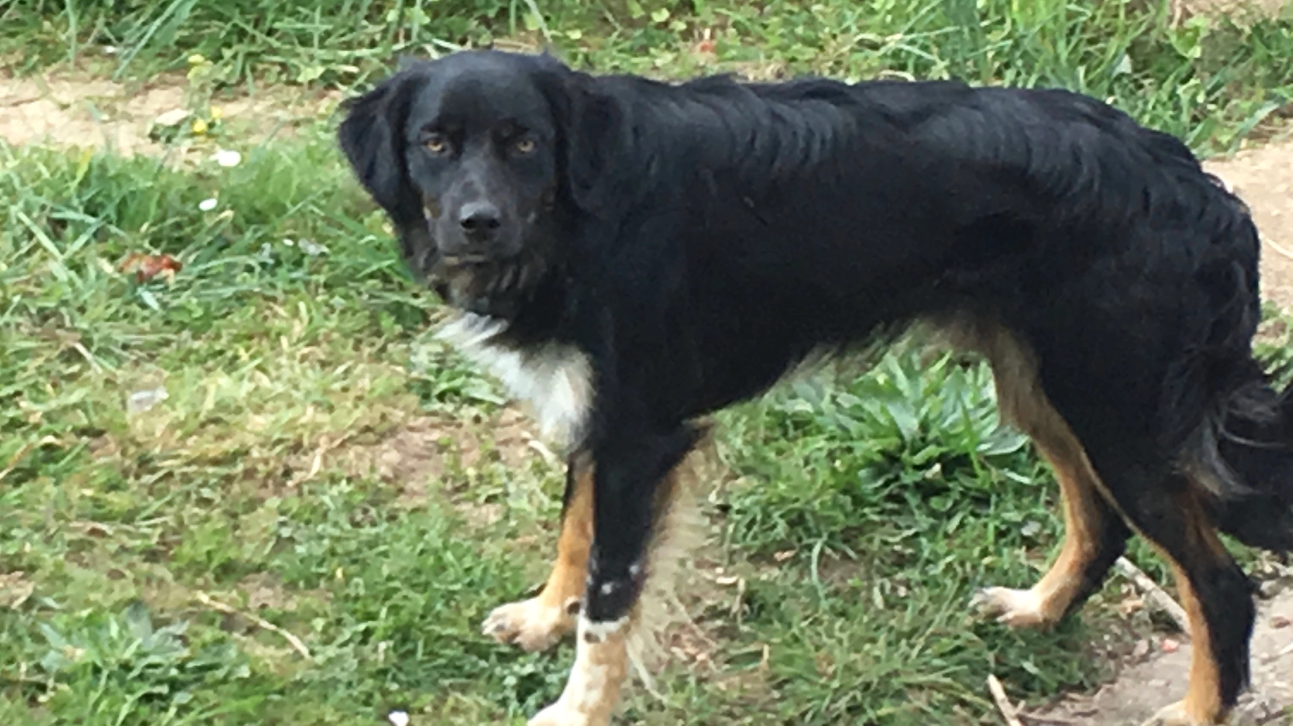 RUSTY - 29 Rue des Fontaines, Rambouillet